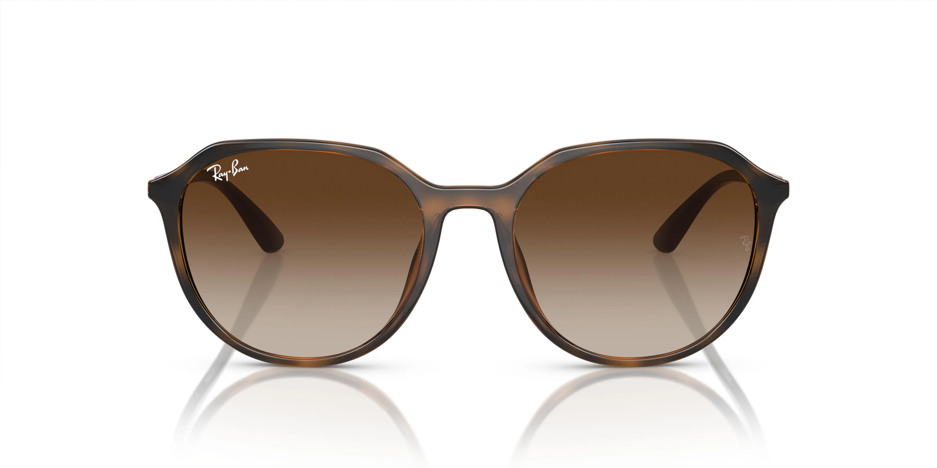 Ray-Ban 4415L Sunglasses - Image 13