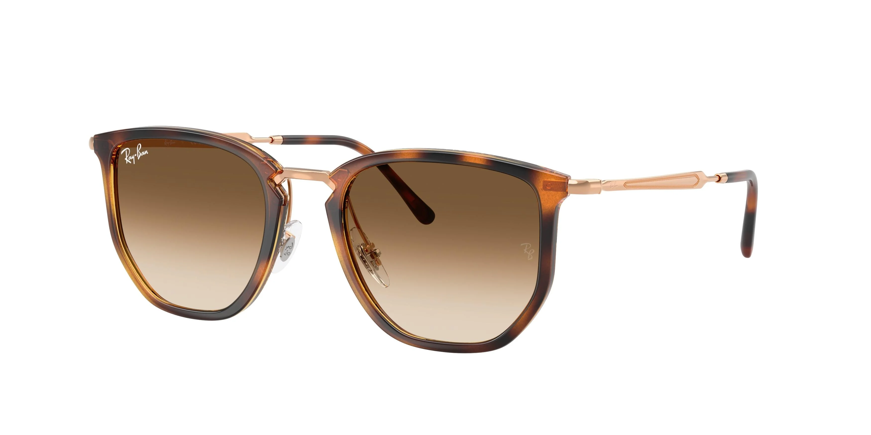 Ray-Ban 4451 Sunglasses - Image 14