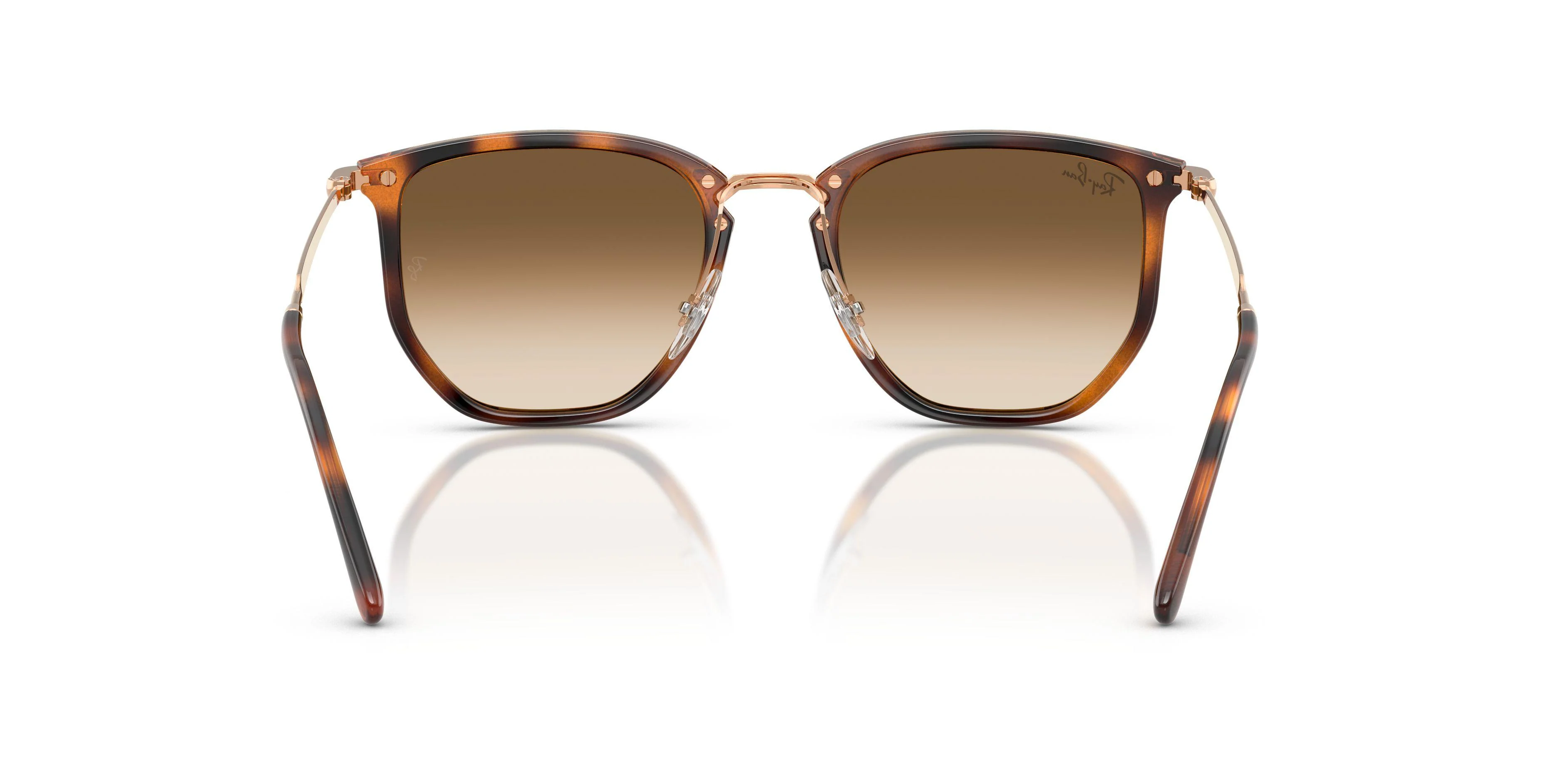 Ray-Ban 4451 Sunglasses - Image 16