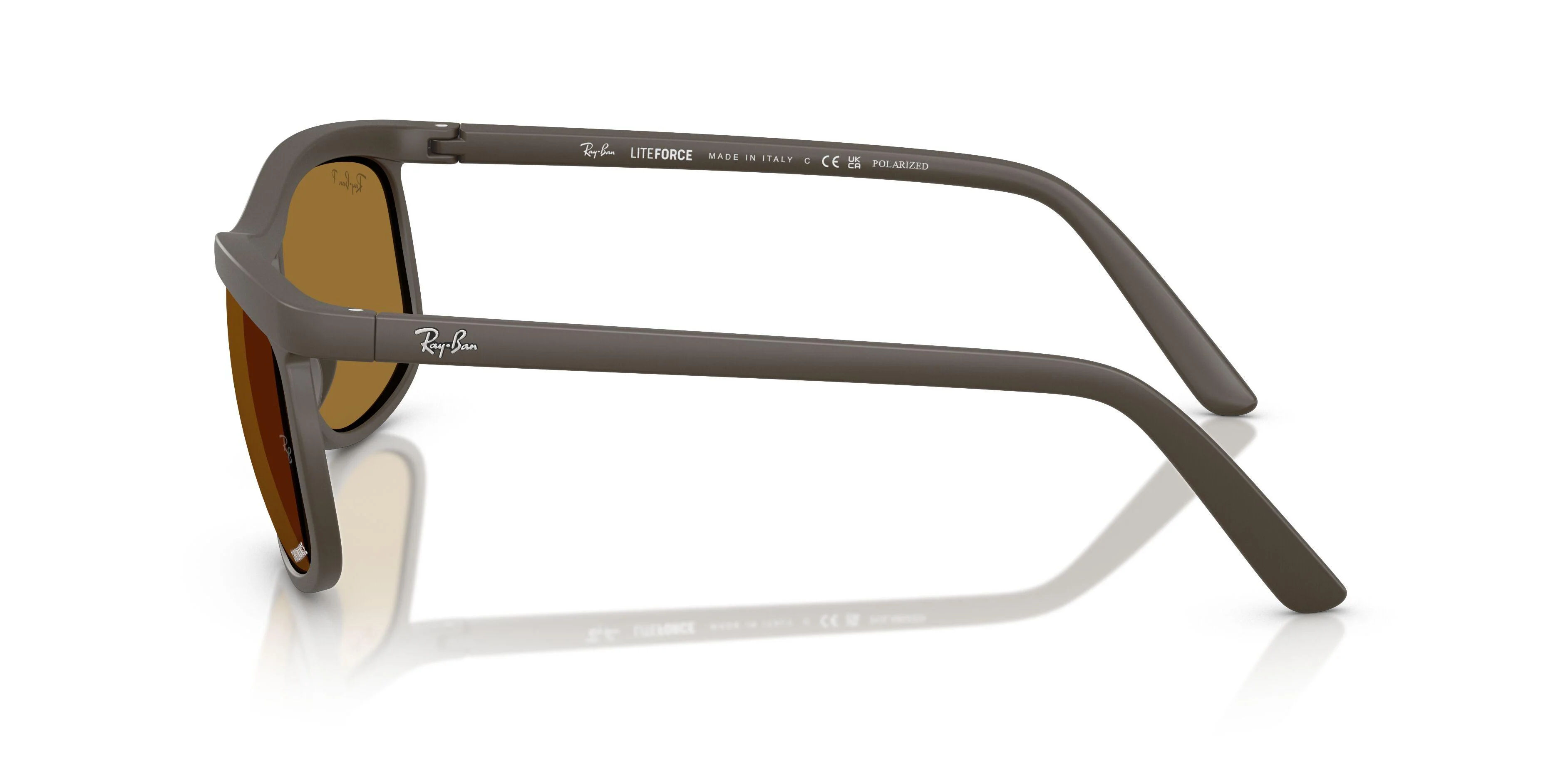 Ray-Ban 4452CH Sunglasses - Image 13