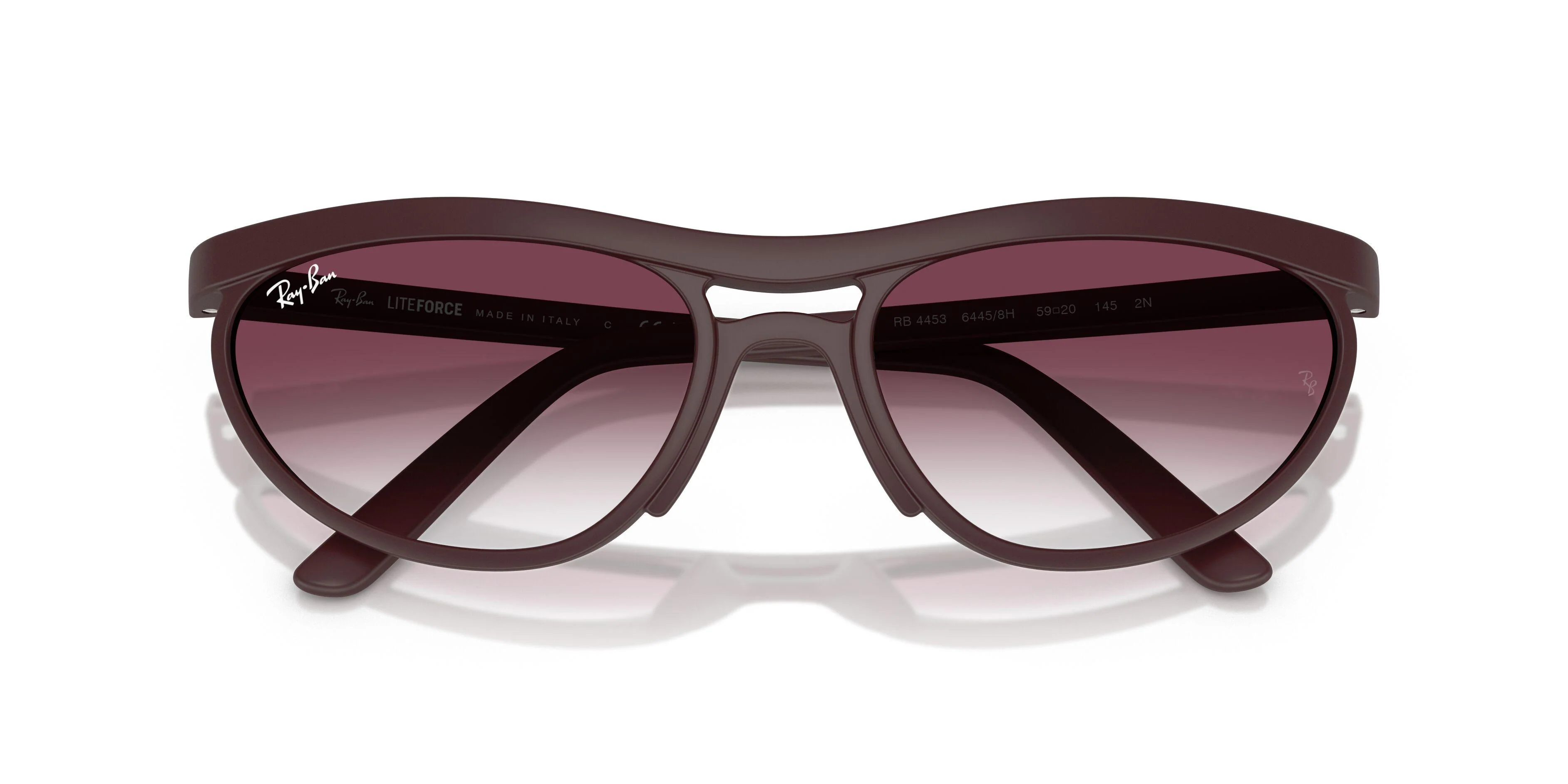 Ray-Ban 4453 Sunglasses - Image 29