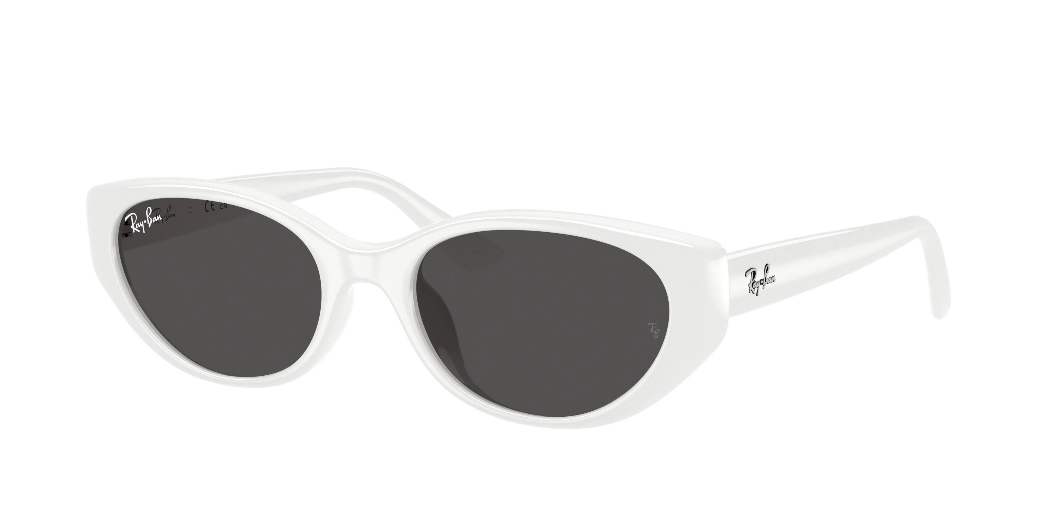 Ray-Ban 4457D Sunglasses - Image 4
