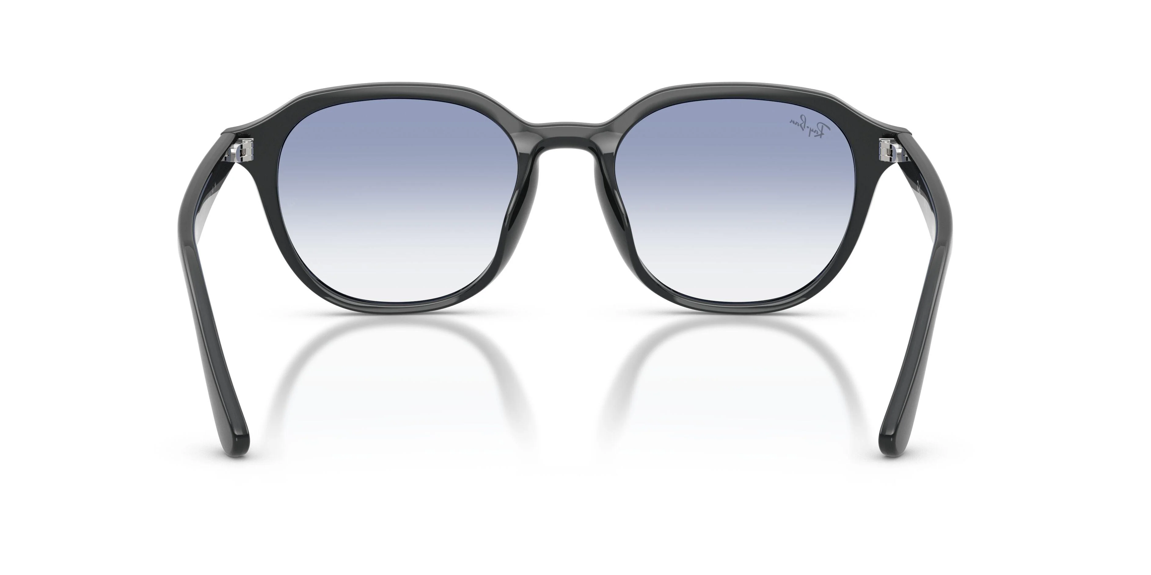 Ray-Ban 4459D Sunglasses - Image 14