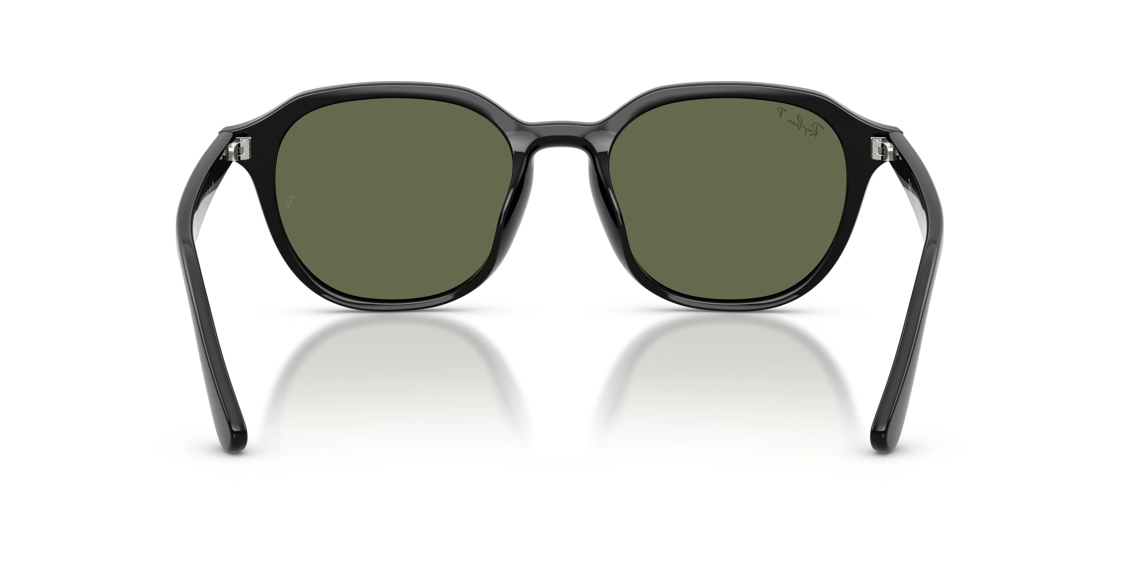 Ray-Ban 4459D Sunglasses - Image 20