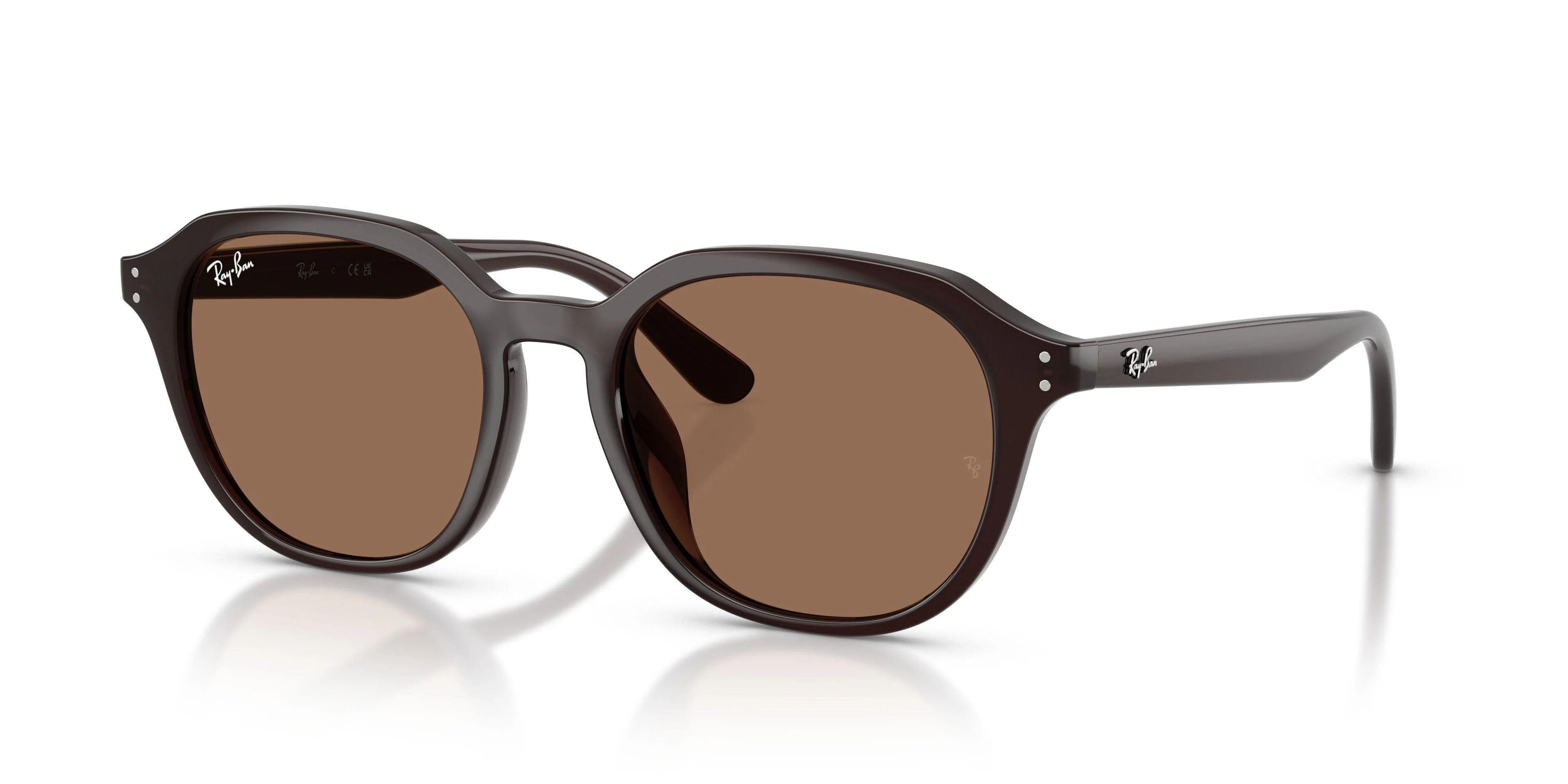 Ray-Ban 4459D Sunglasses - Image 24