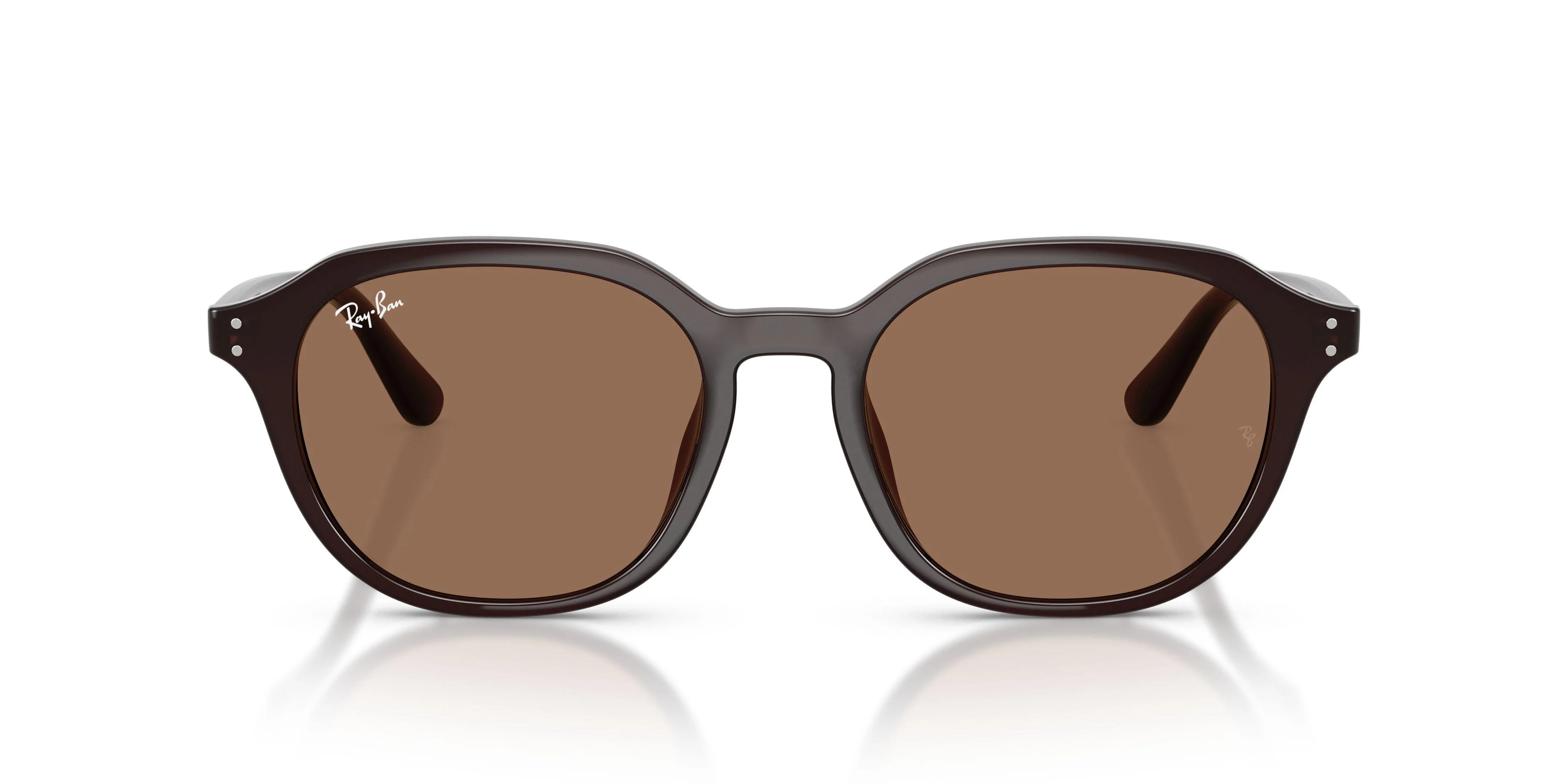 Ray-Ban 4459D Sunglasses - Image 28