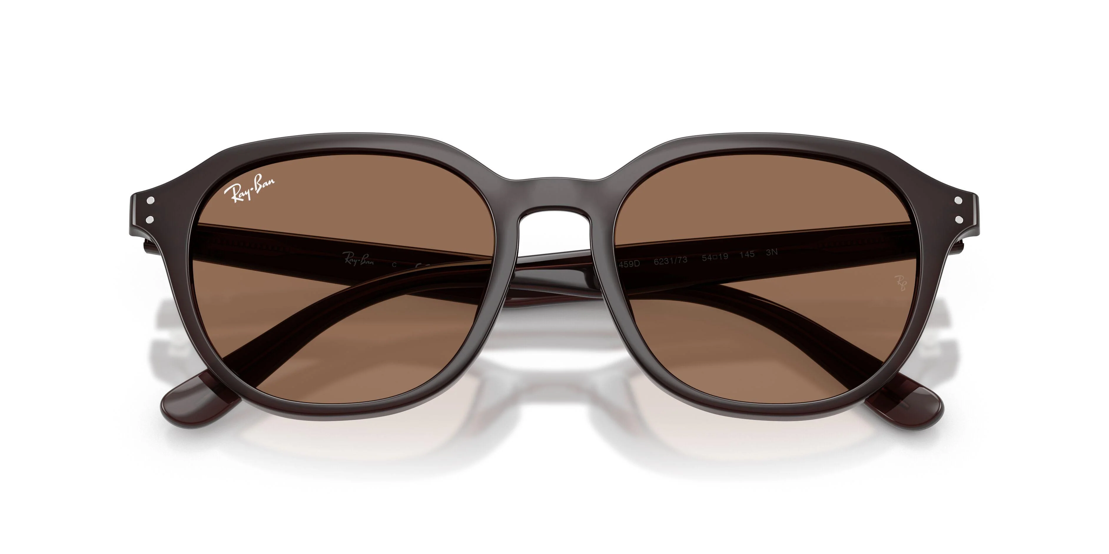 Ray-Ban 4459D Sunglasses - Image 29
