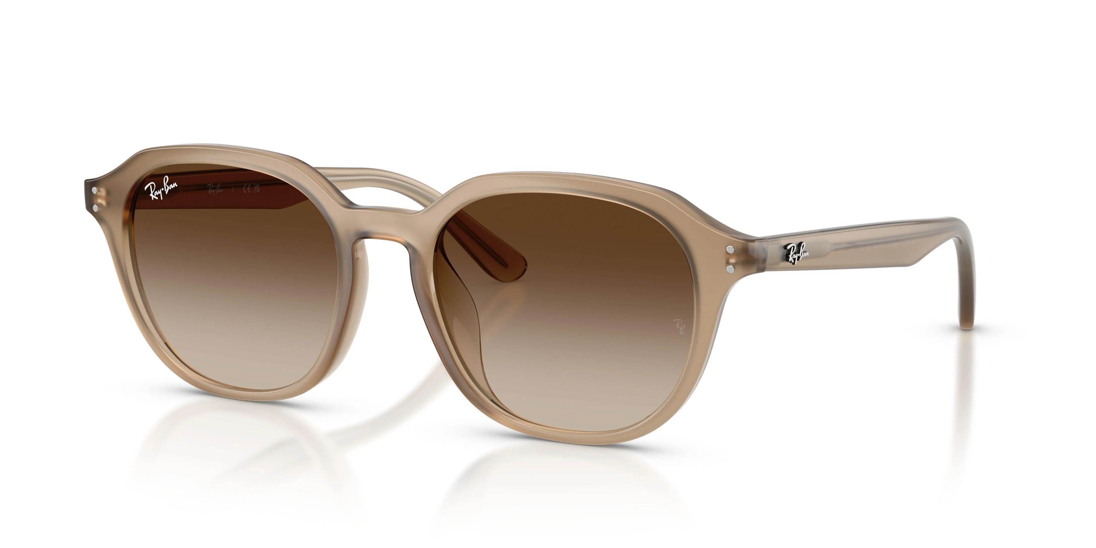 Ray-Ban 4459D Sunglasses - Image 30