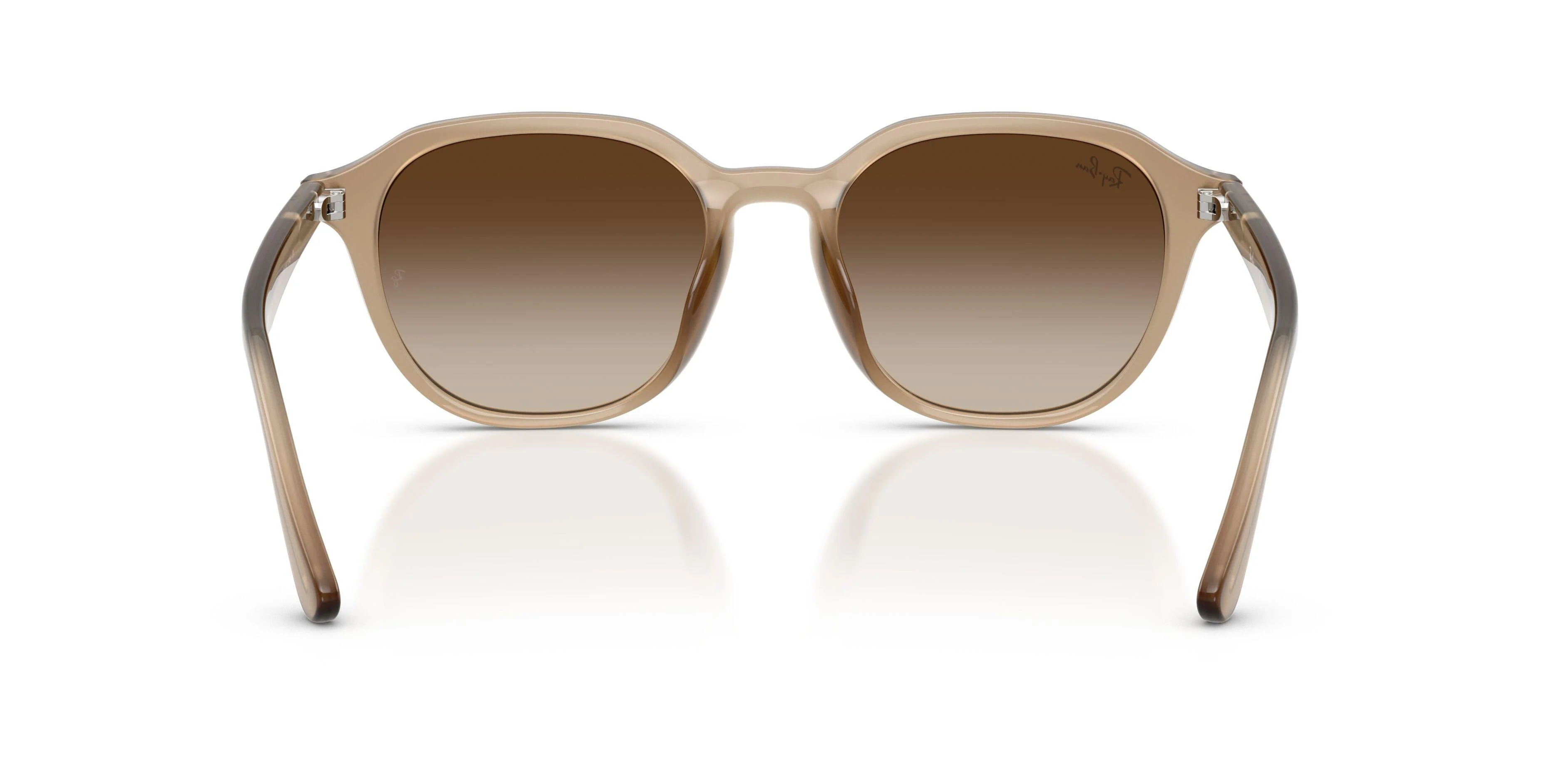 Ray-Ban 4459D Sunglasses - Image 32
