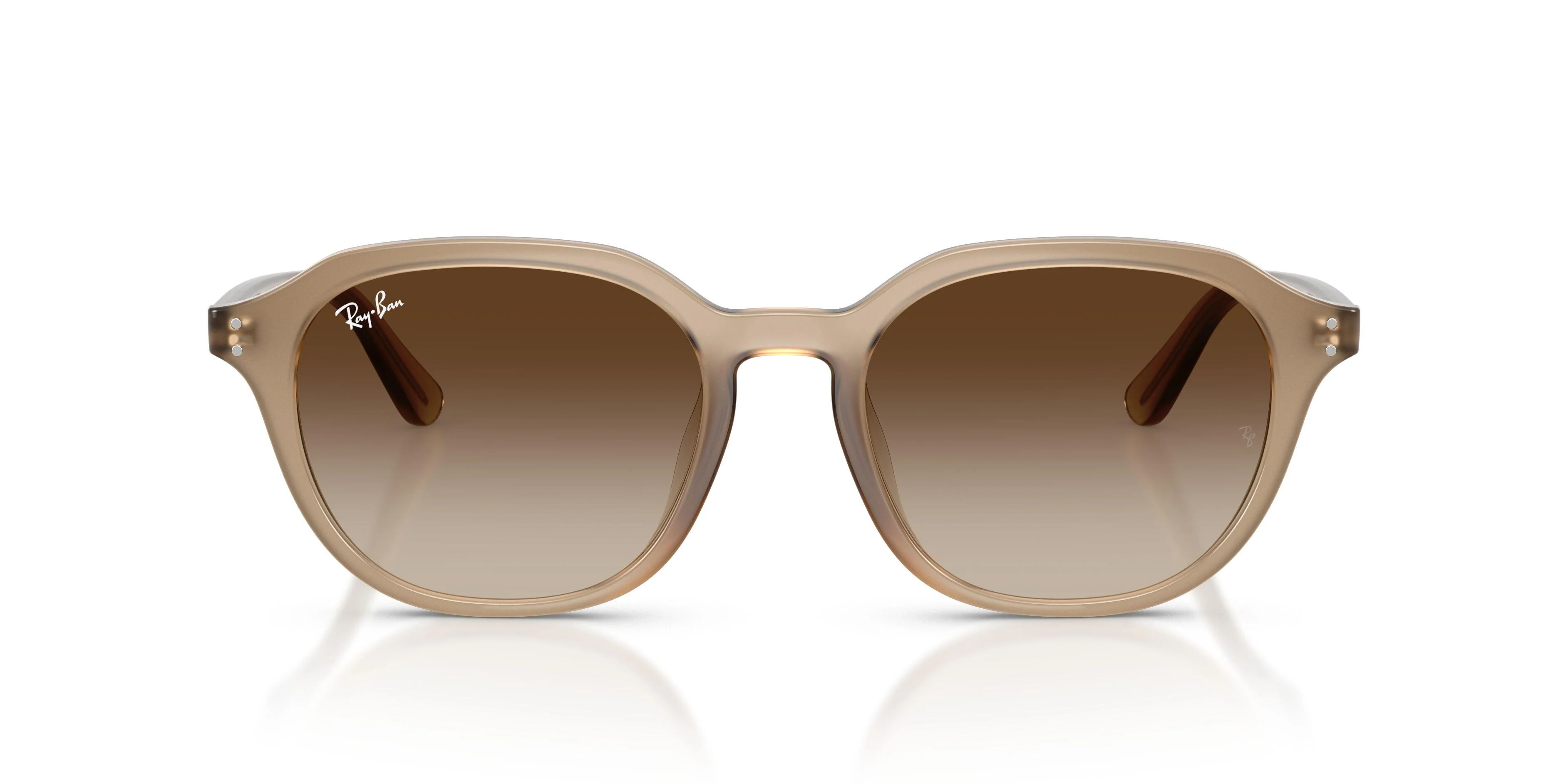 Ray-Ban 4459D Sunglasses - Image 34