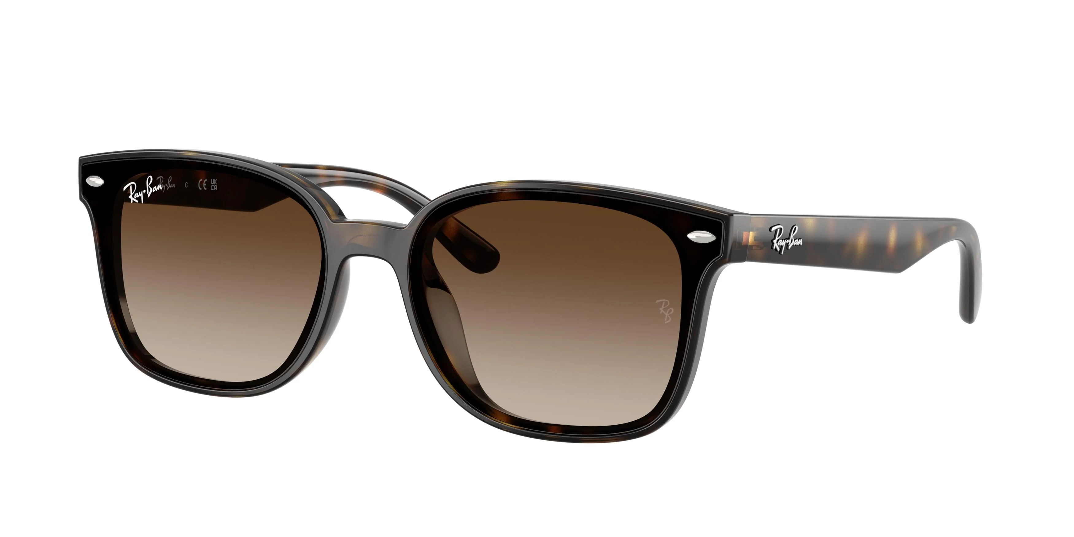 Ray-Ban 4461D Sunglasses - Image 2