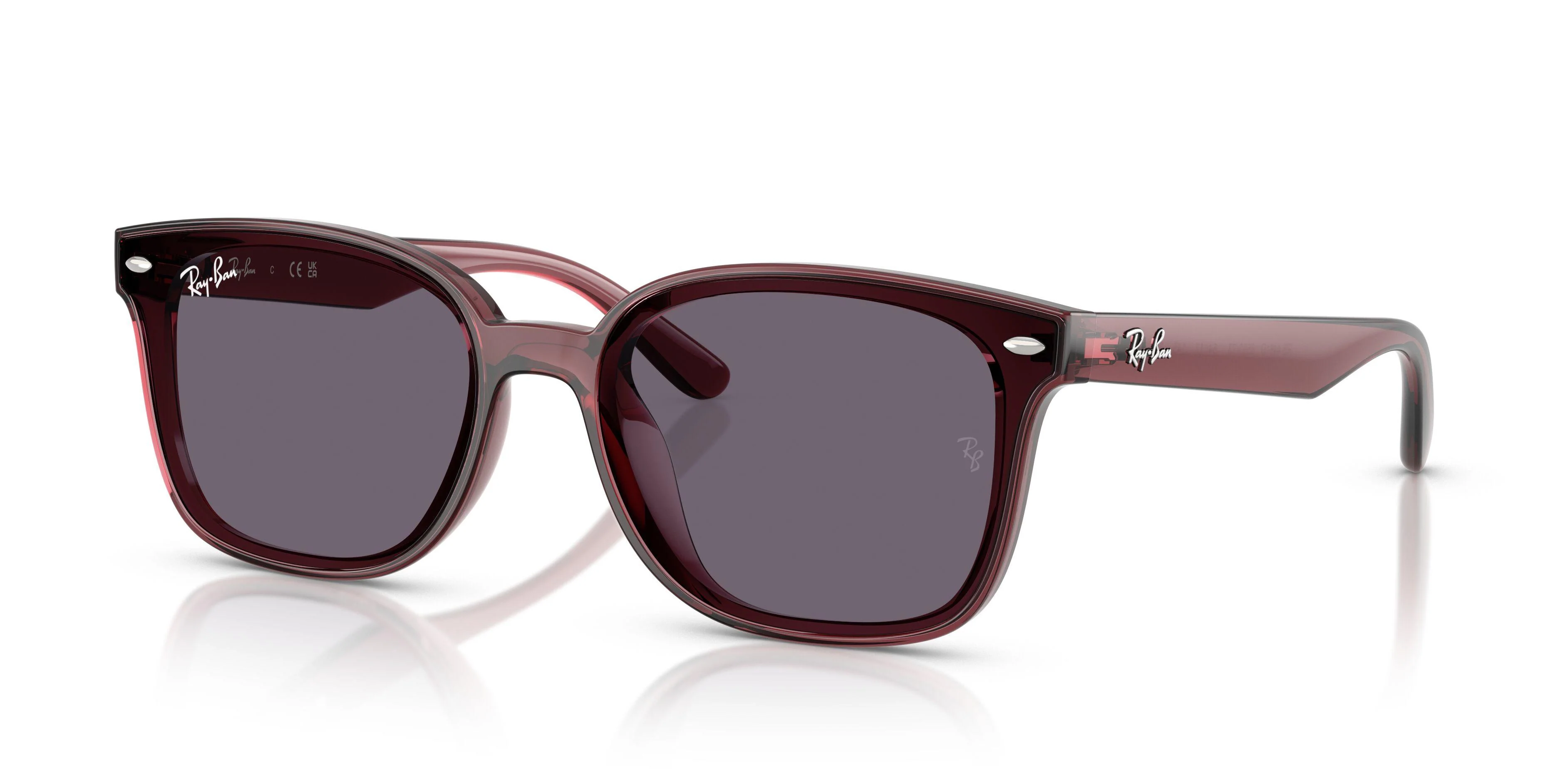 Ray-Ban 4461D Sunglasses - Image 30