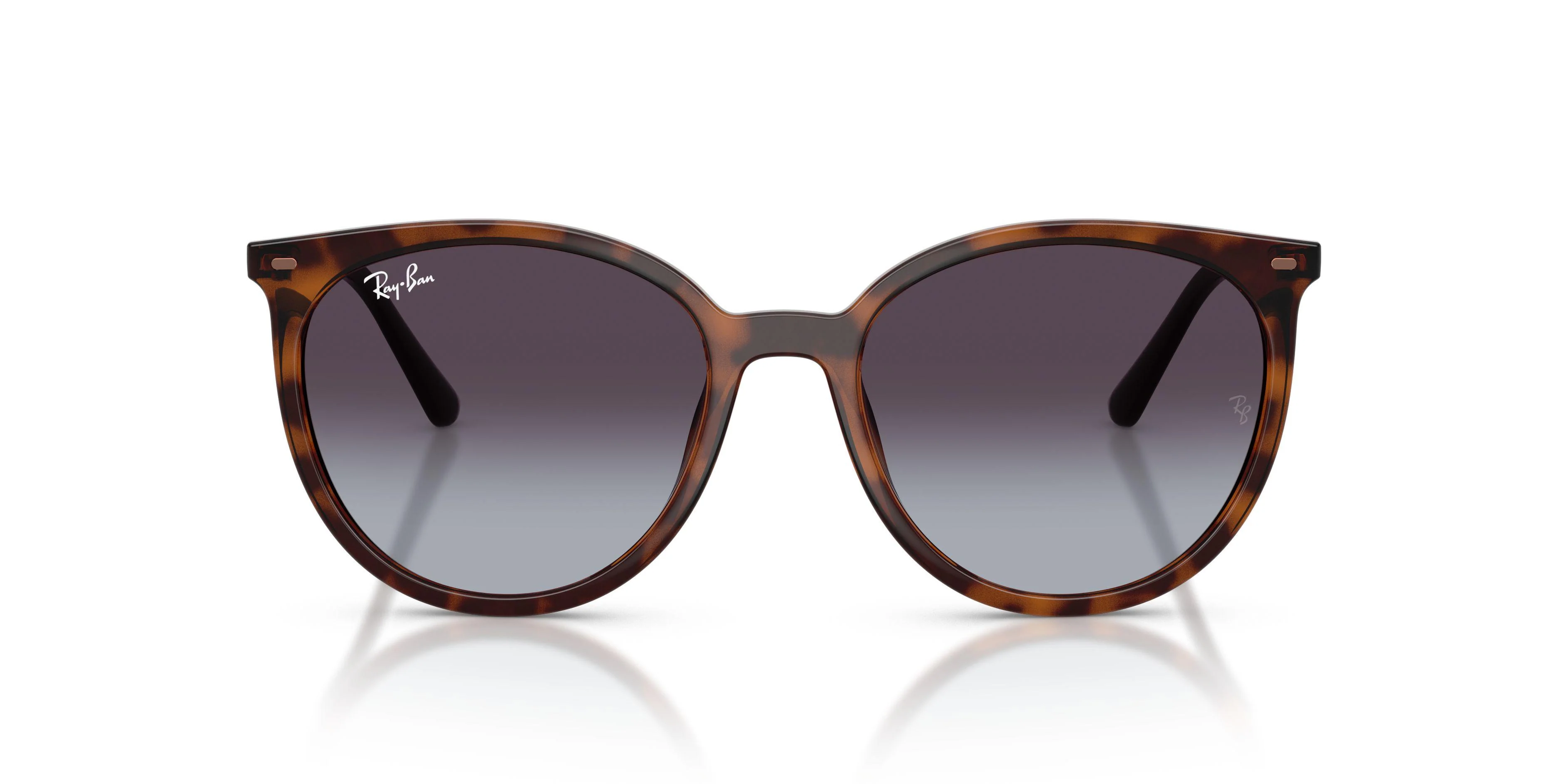 Ray-Ban 4464L Sunglasses - Image 16