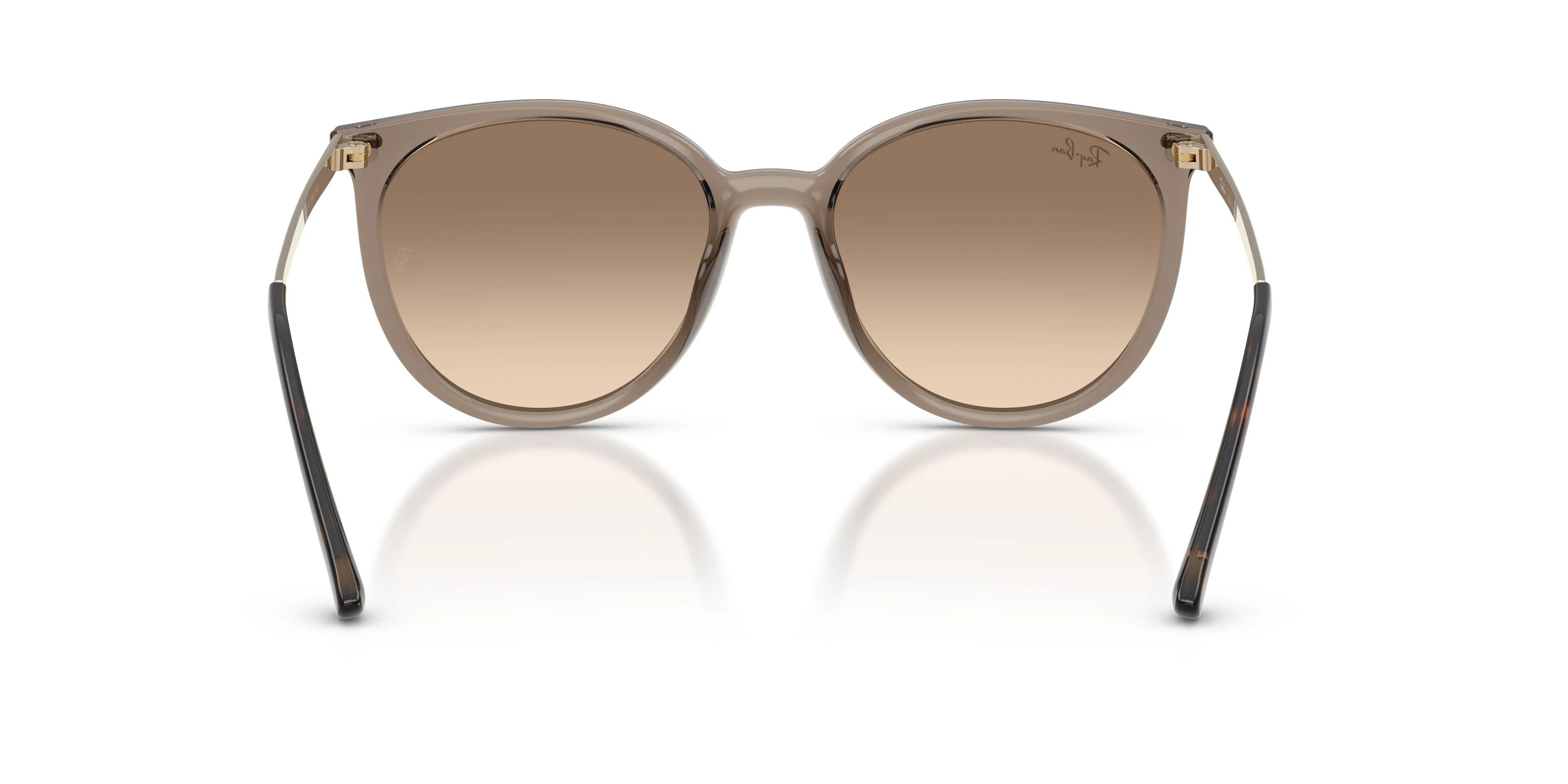 Ray-Ban 4464L Sunglasses - Image 8
