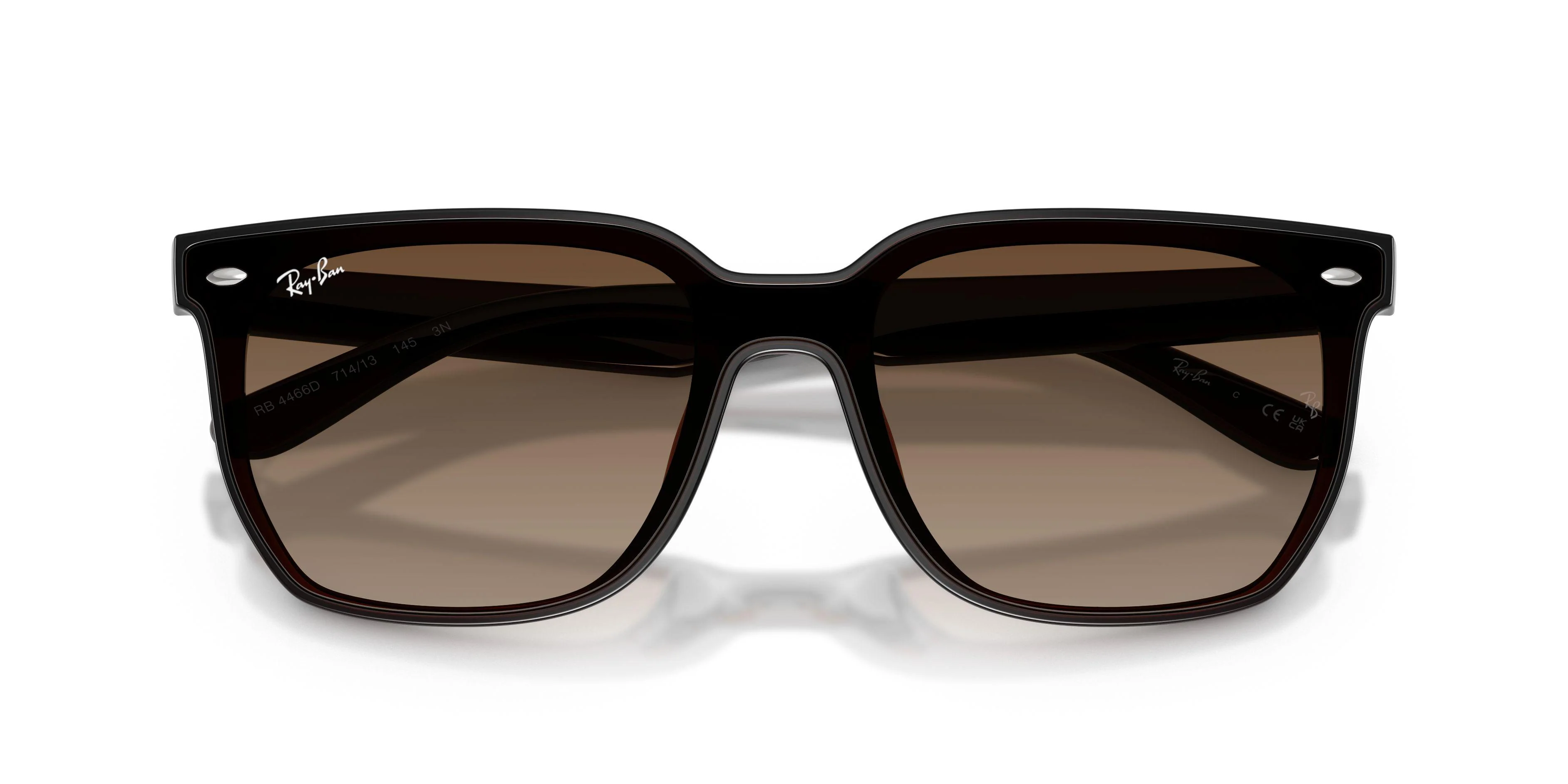 Ray-Ban 4466D Sunglasses - Image 16