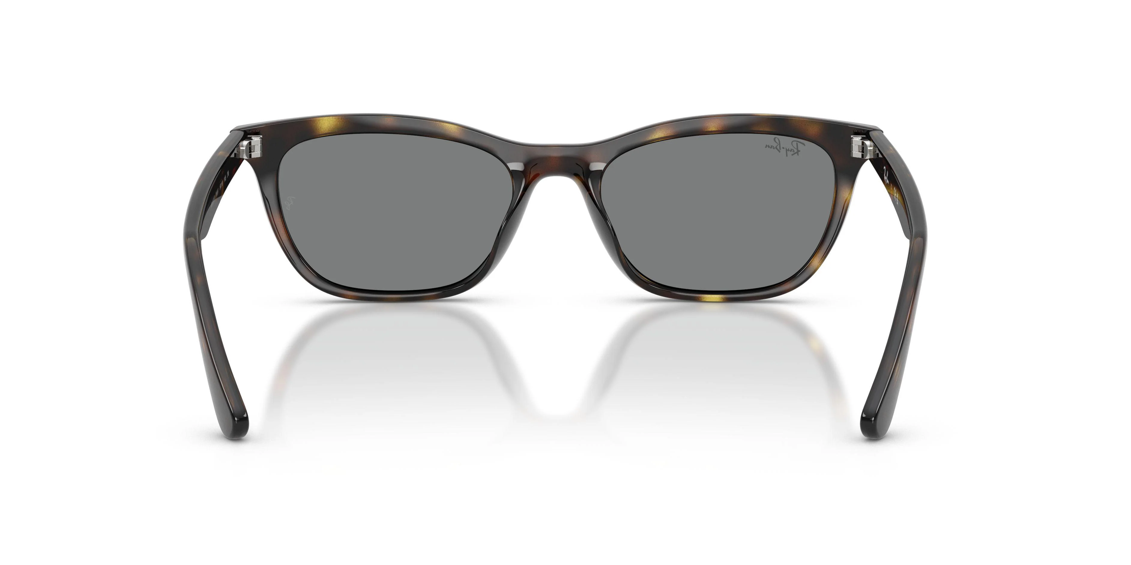 Ray-Ban 4474D Sunglasses - Image 9