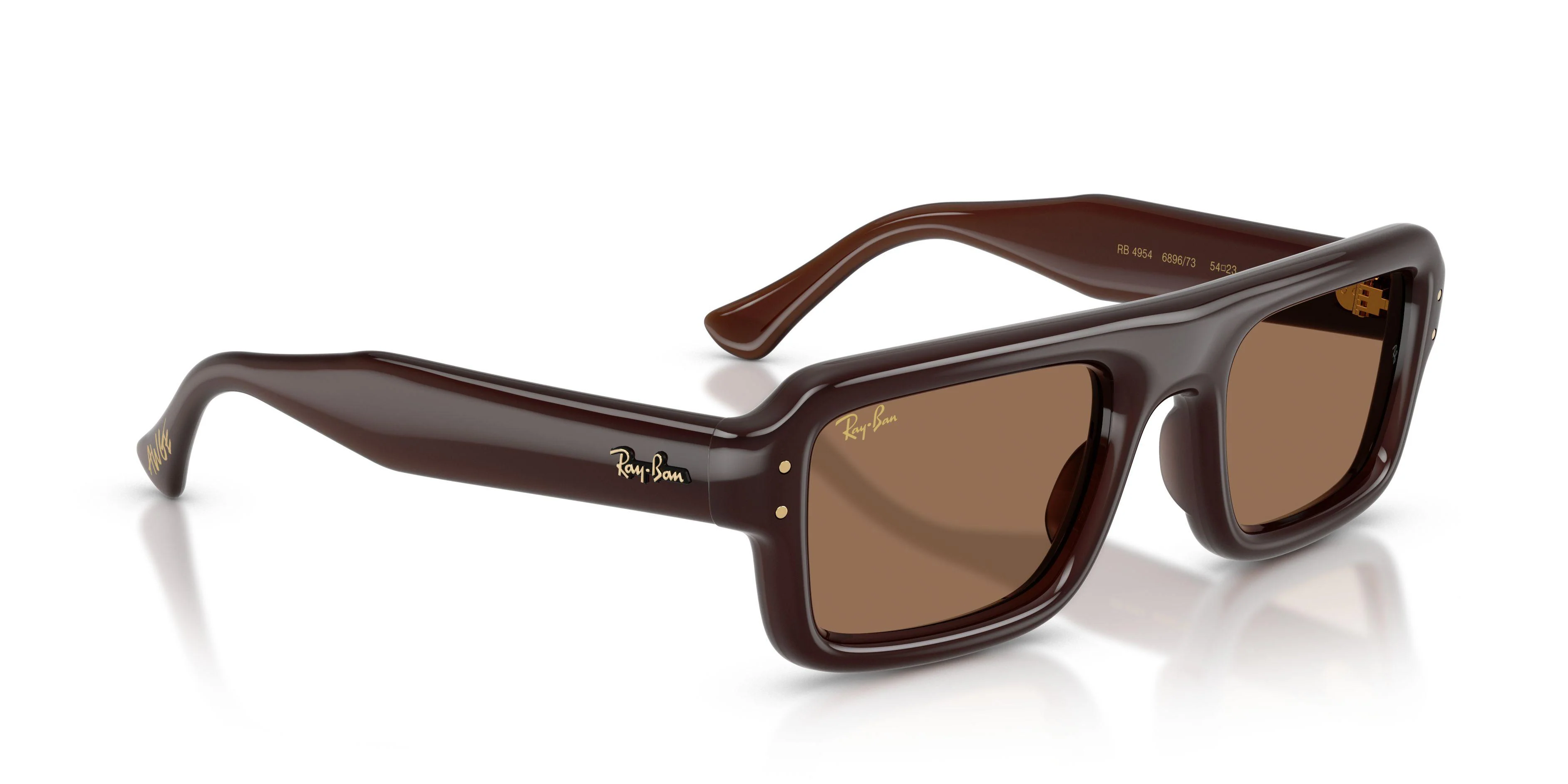 Ray-Ban 4954 Sunglasses - Image 4