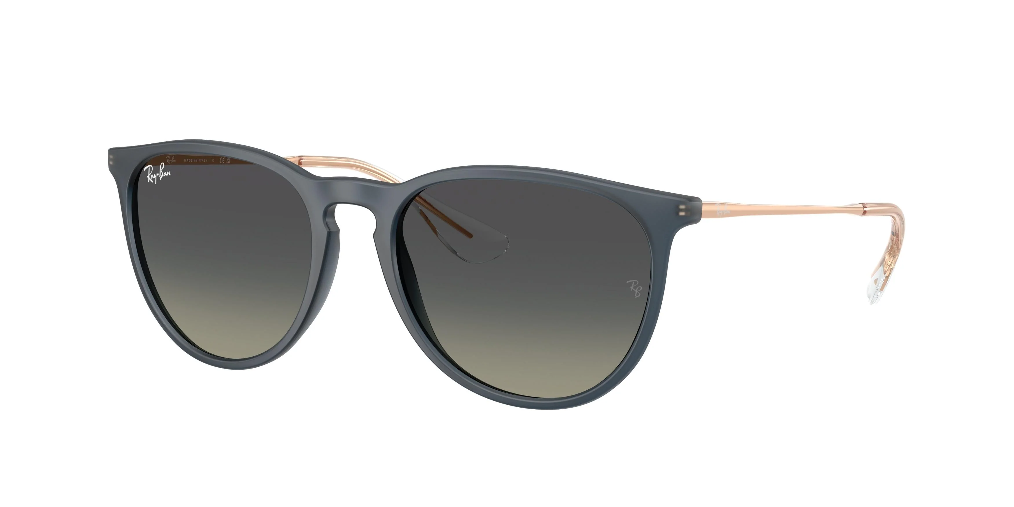 Ray-Ban Erika 4171 Sunglasses - Image 10