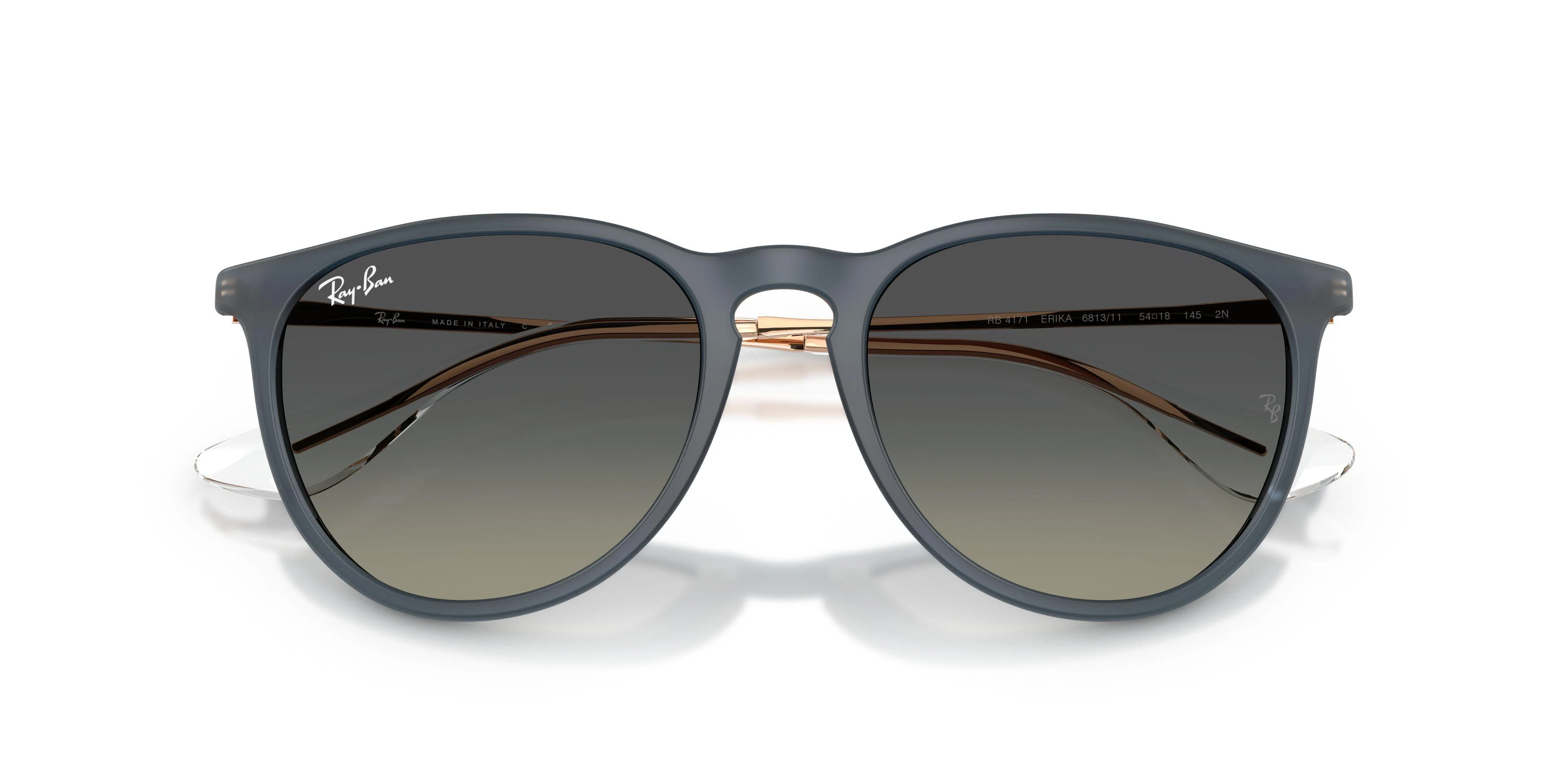Ray-Ban Erika 4171 Sunglasses - Image 15