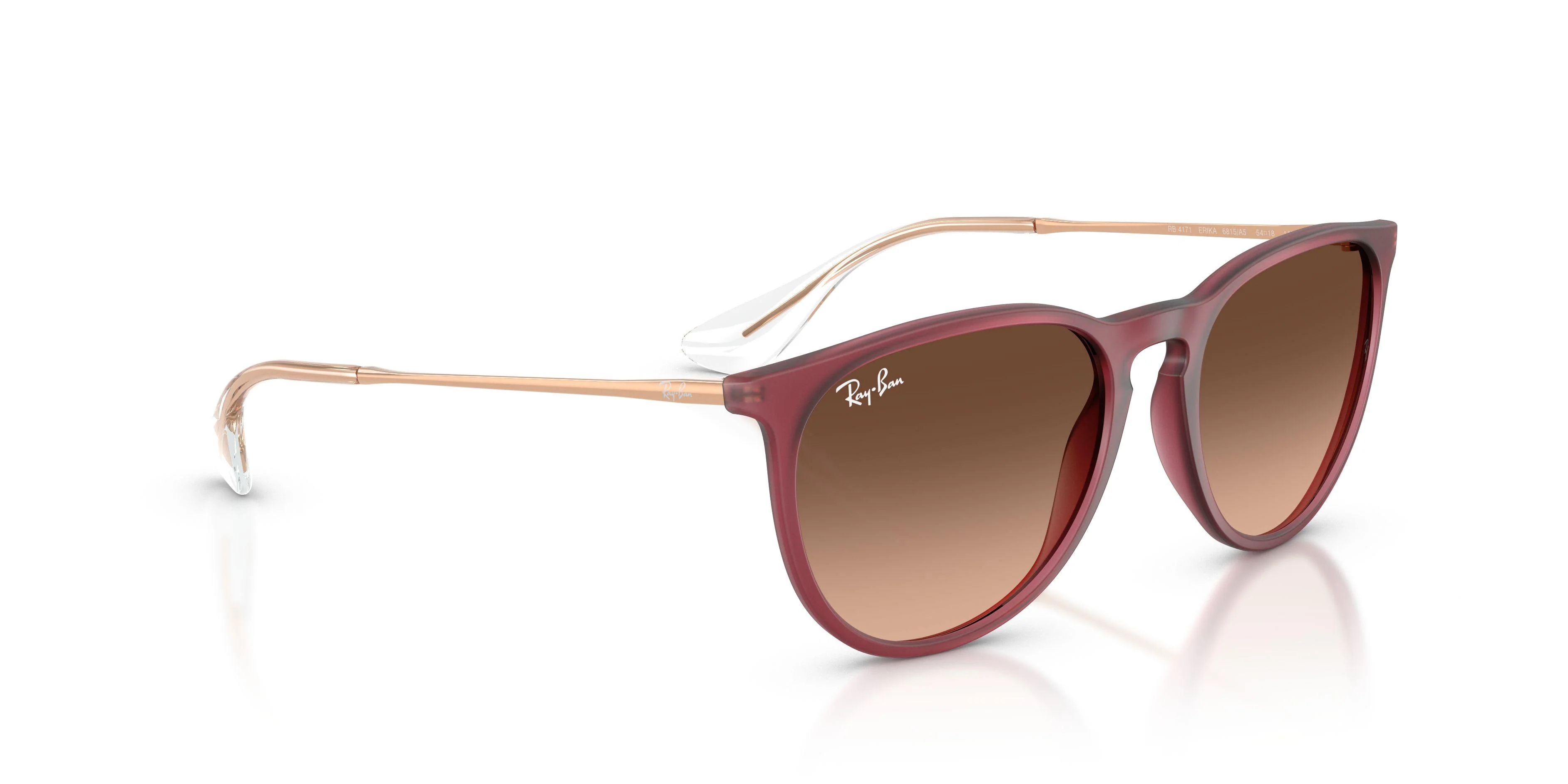 Ray-Ban Erika 4171 Sunglasses - Image 19