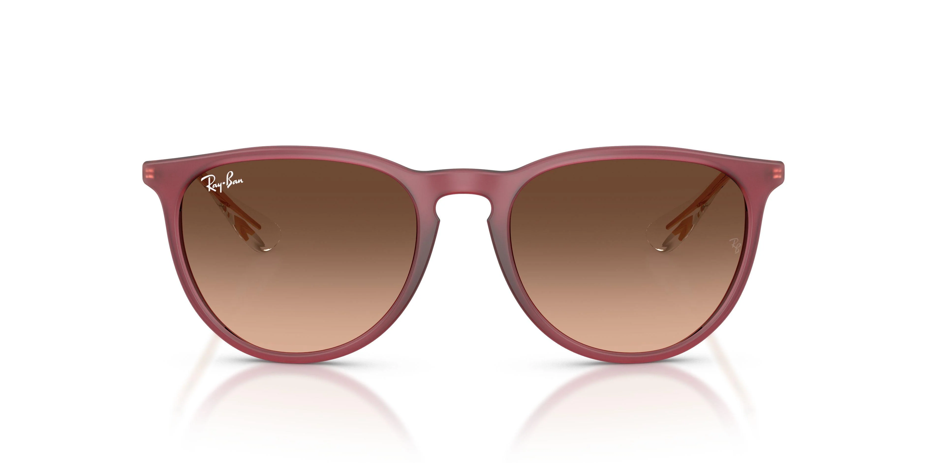 Ray-Ban Erika 4171 Sunglasses - Image 20