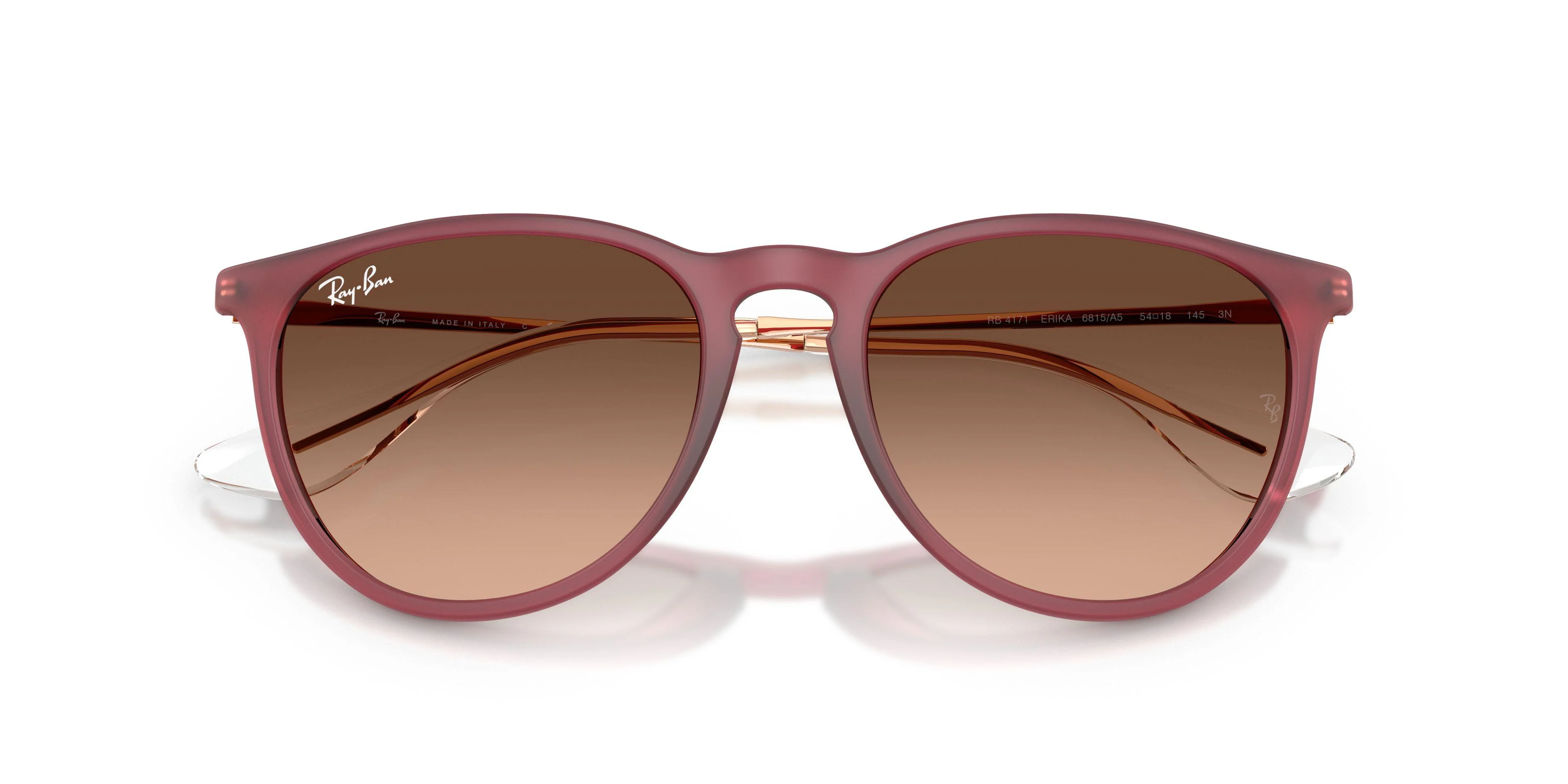 Ray-Ban Erika 4171 Sunglasses - Image 21