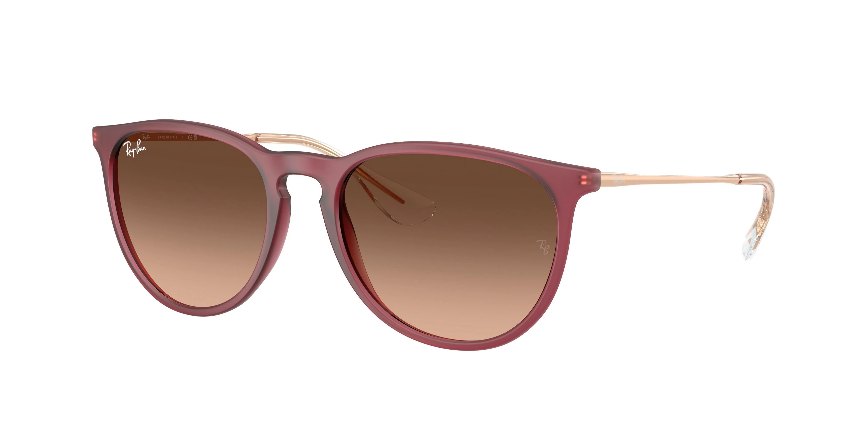 Ray-Ban Erika 4171 Sunglasses - Image 3