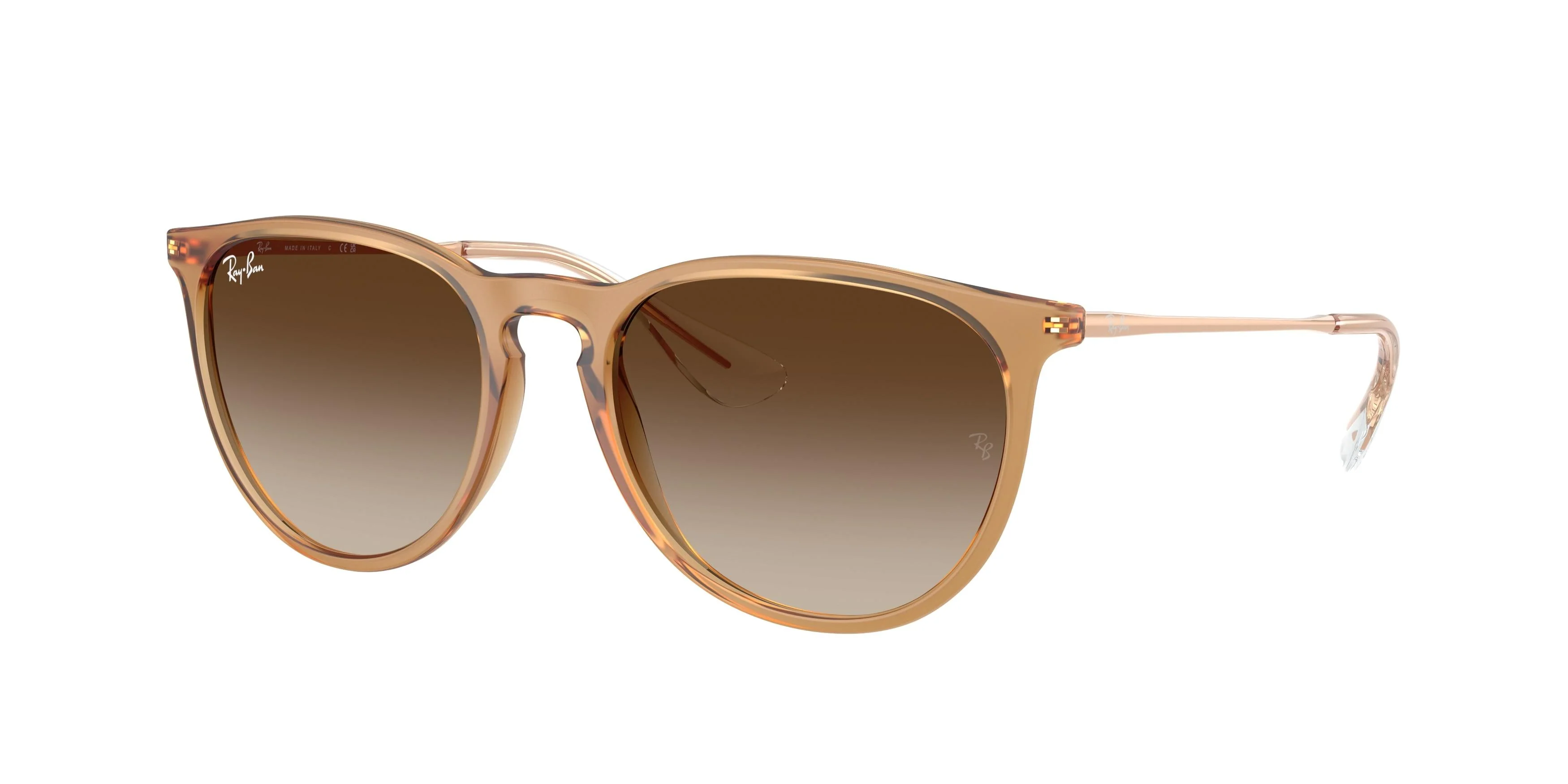 Ray-Ban Erika 4171 Sunglasses - Image 4