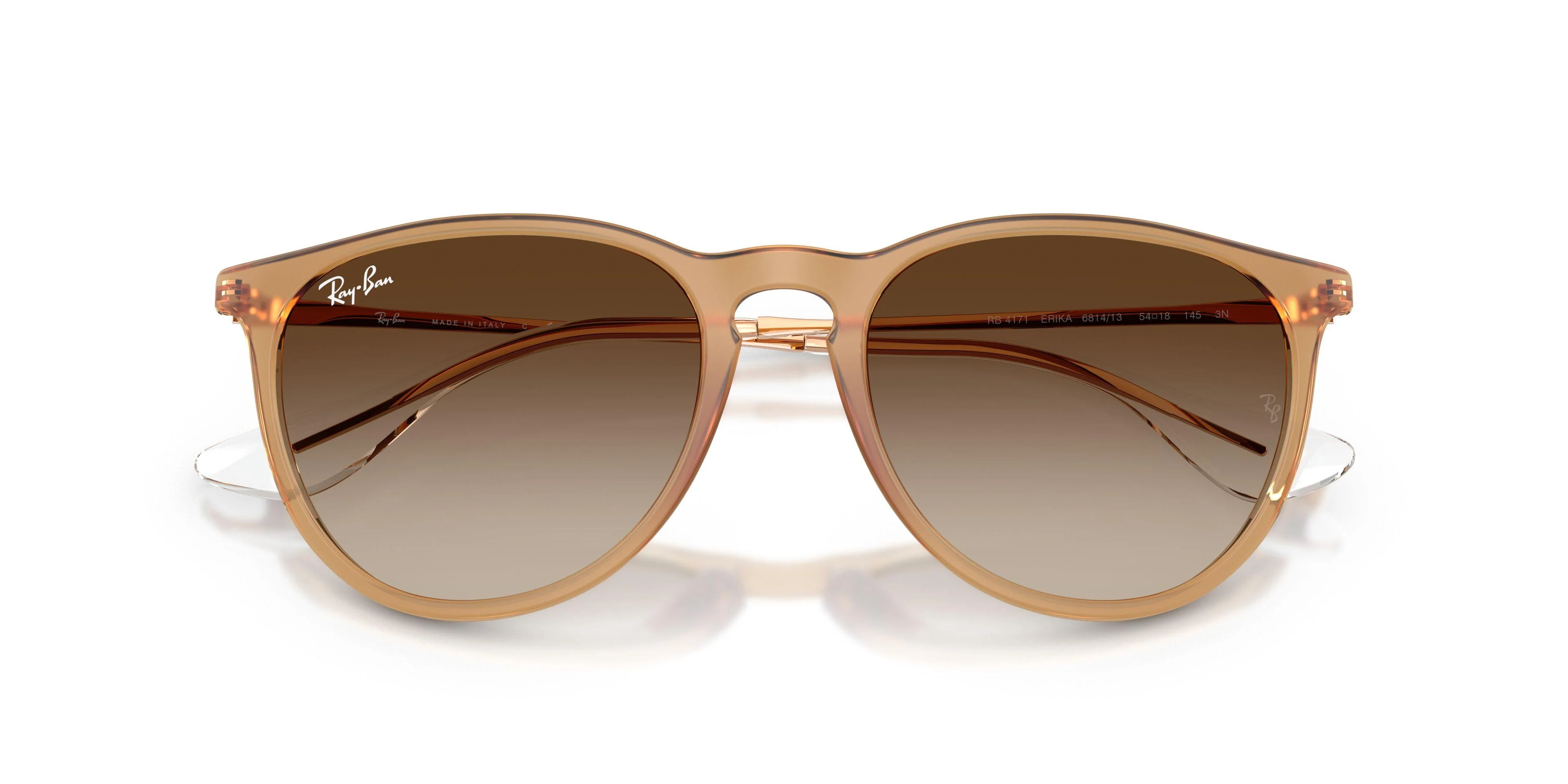 Ray-Ban Erika 4171 Sunglasses - Image 9