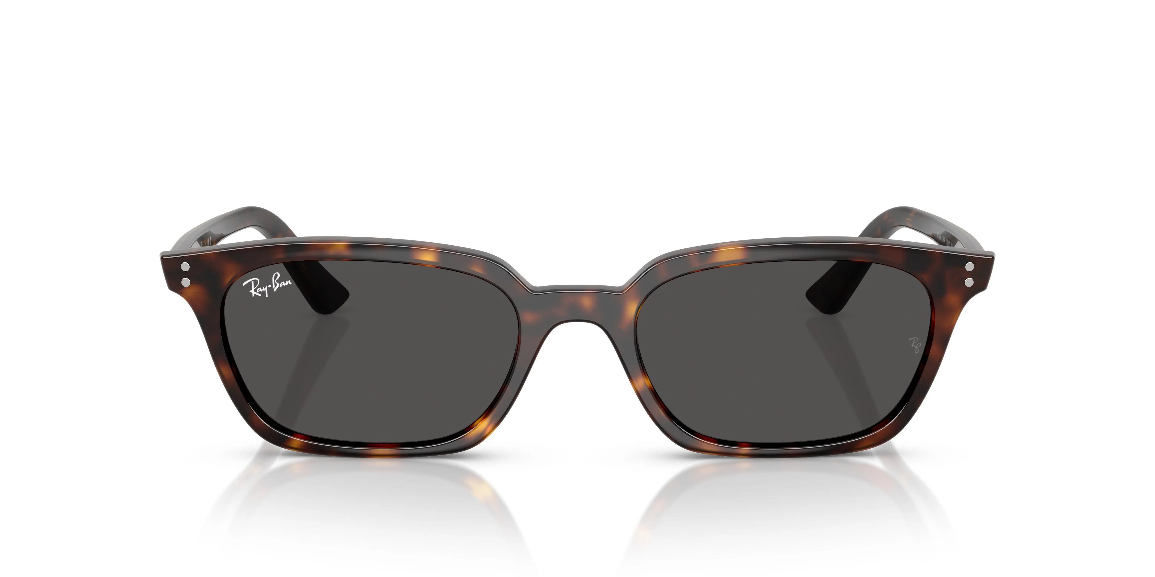 Ray-Ban Zaya 4456 Sunglasses - Image 41