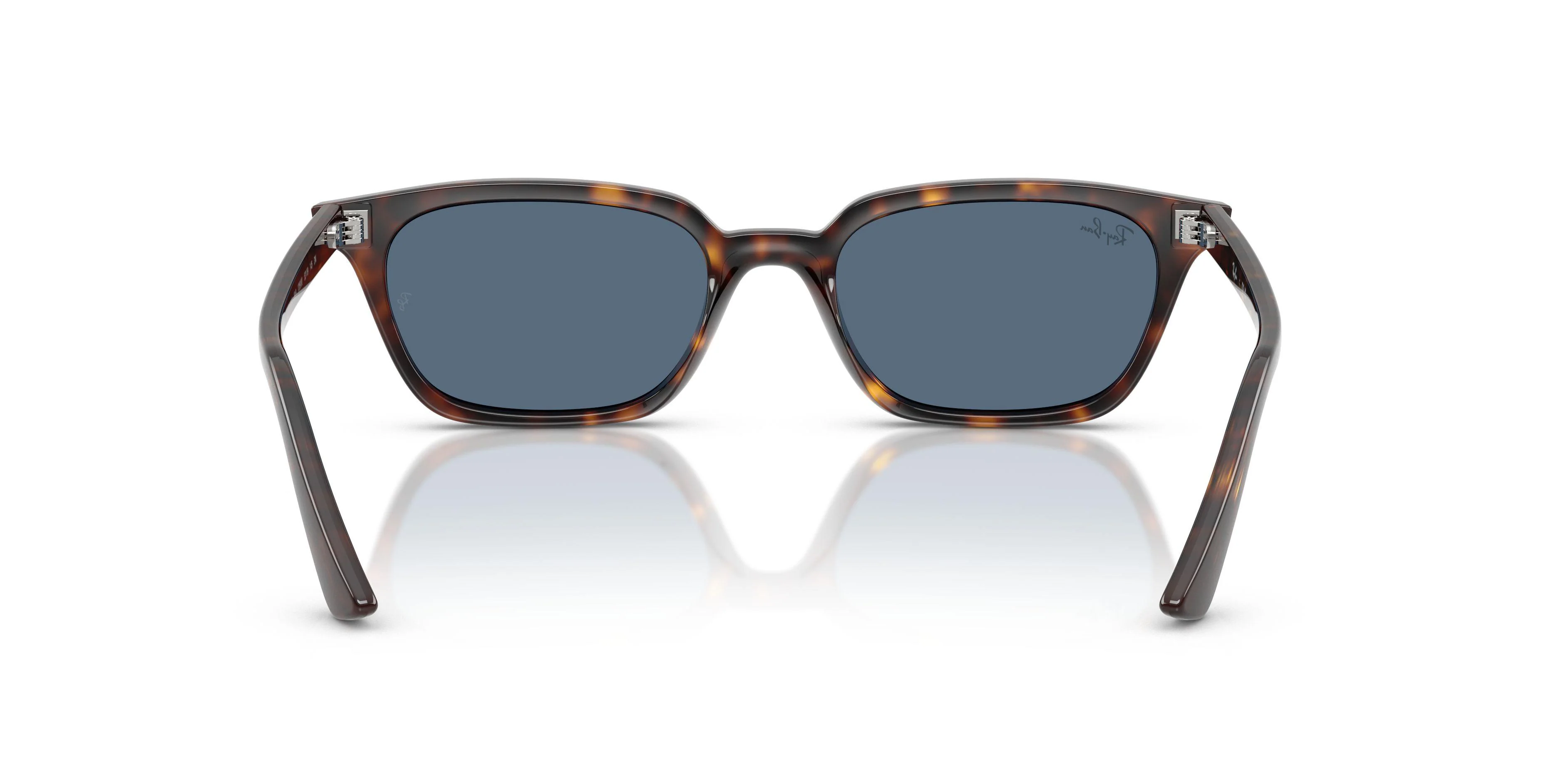 Ray-Ban Zaya 4456 Sunglasses - Image 9