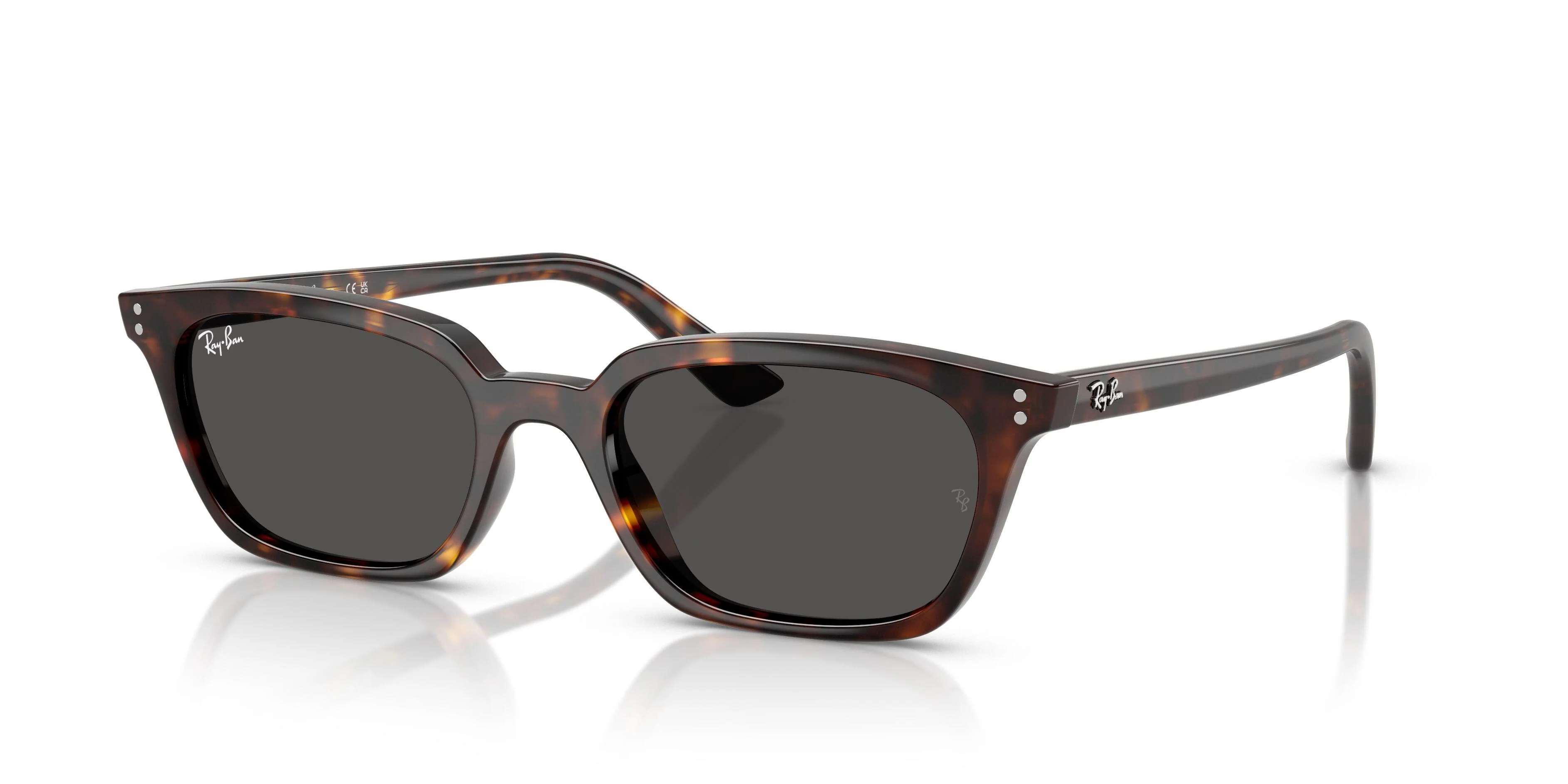 Ray-Ban Zaya 4456F Sunglasses - Image 18