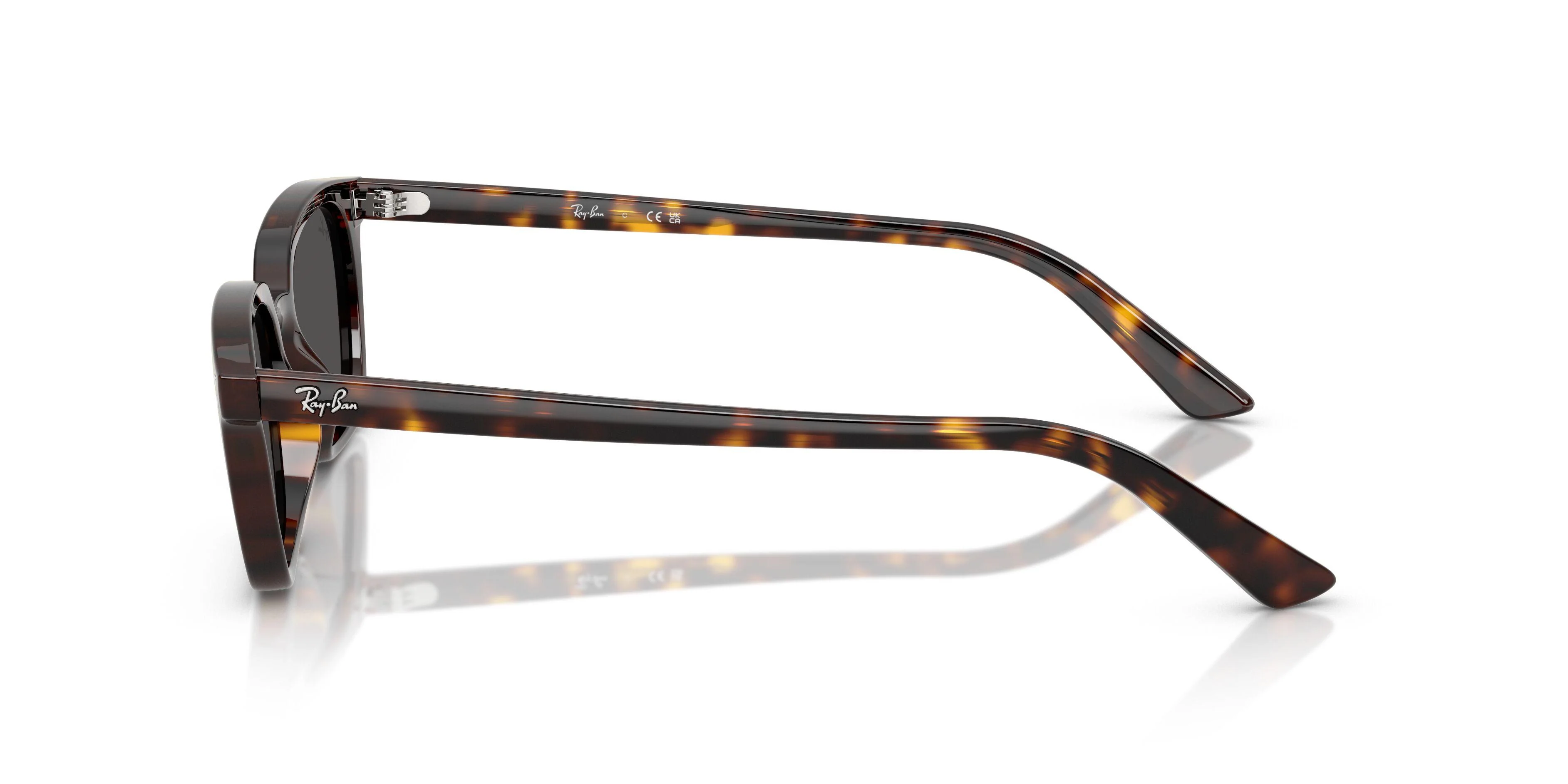 Ray-Ban Zaya 4456F Sunglasses - Image 19