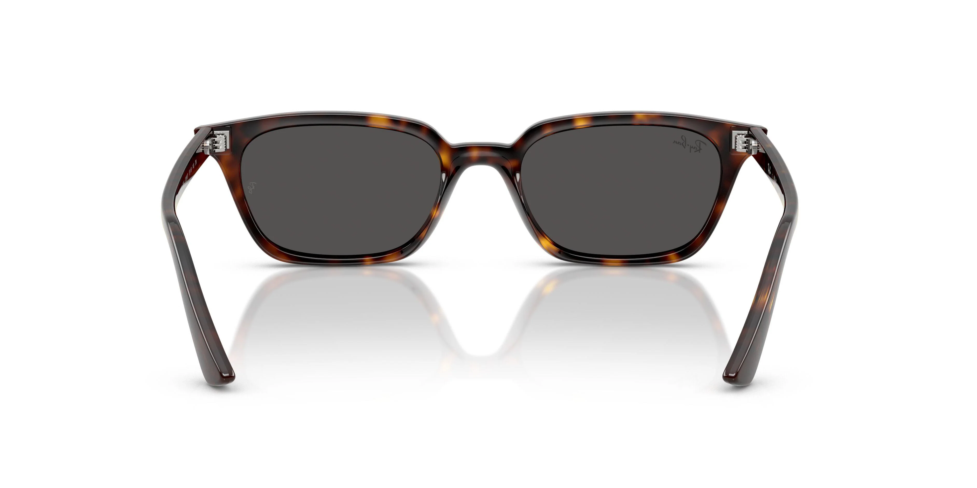 Ray-Ban Zaya 4456F Sunglasses - Image 20