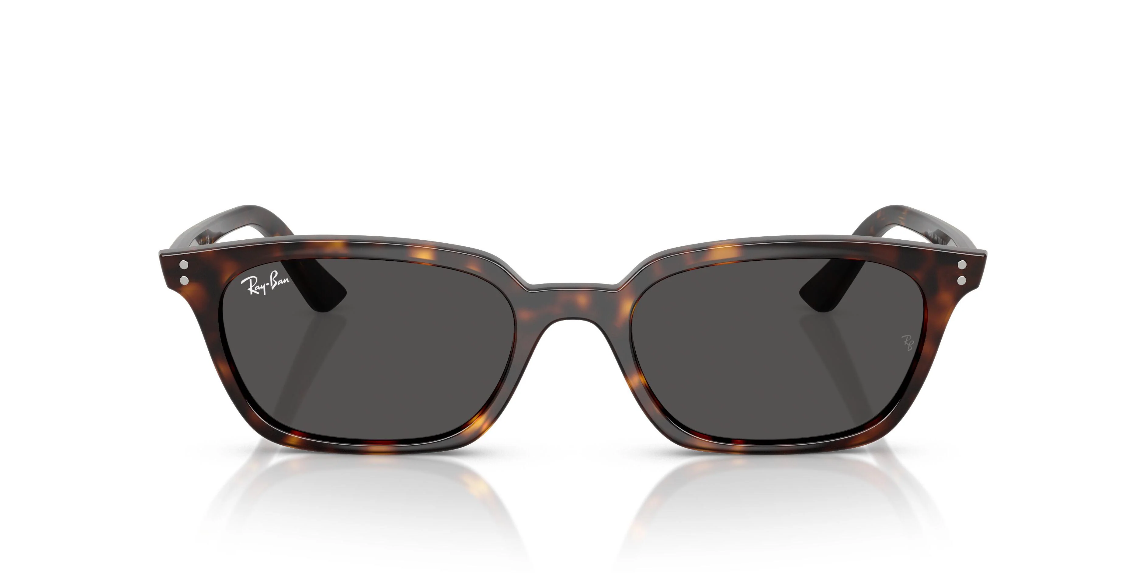 Ray-Ban Zaya 4456F Sunglasses - Image 22