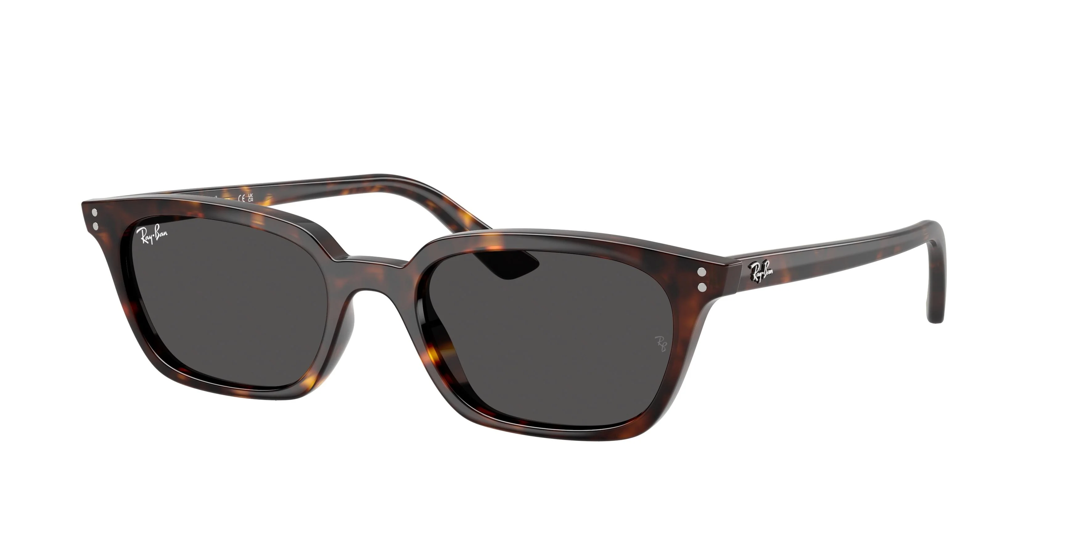 Ray-Ban Zaya 4456F Sunglasses - Image 3
