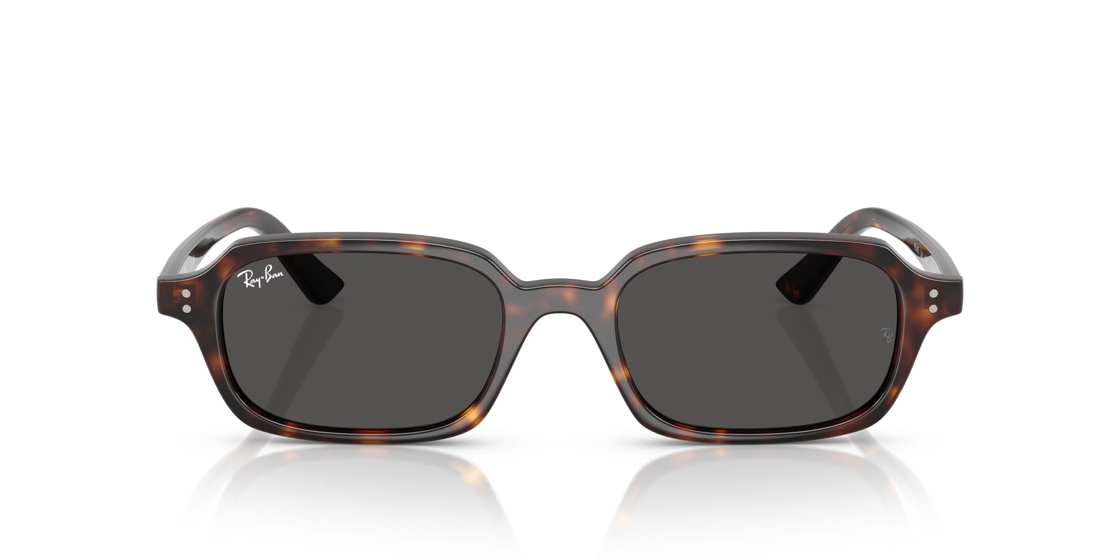 Ray-Ban Zuri 4455 Sunglasses - Image 10