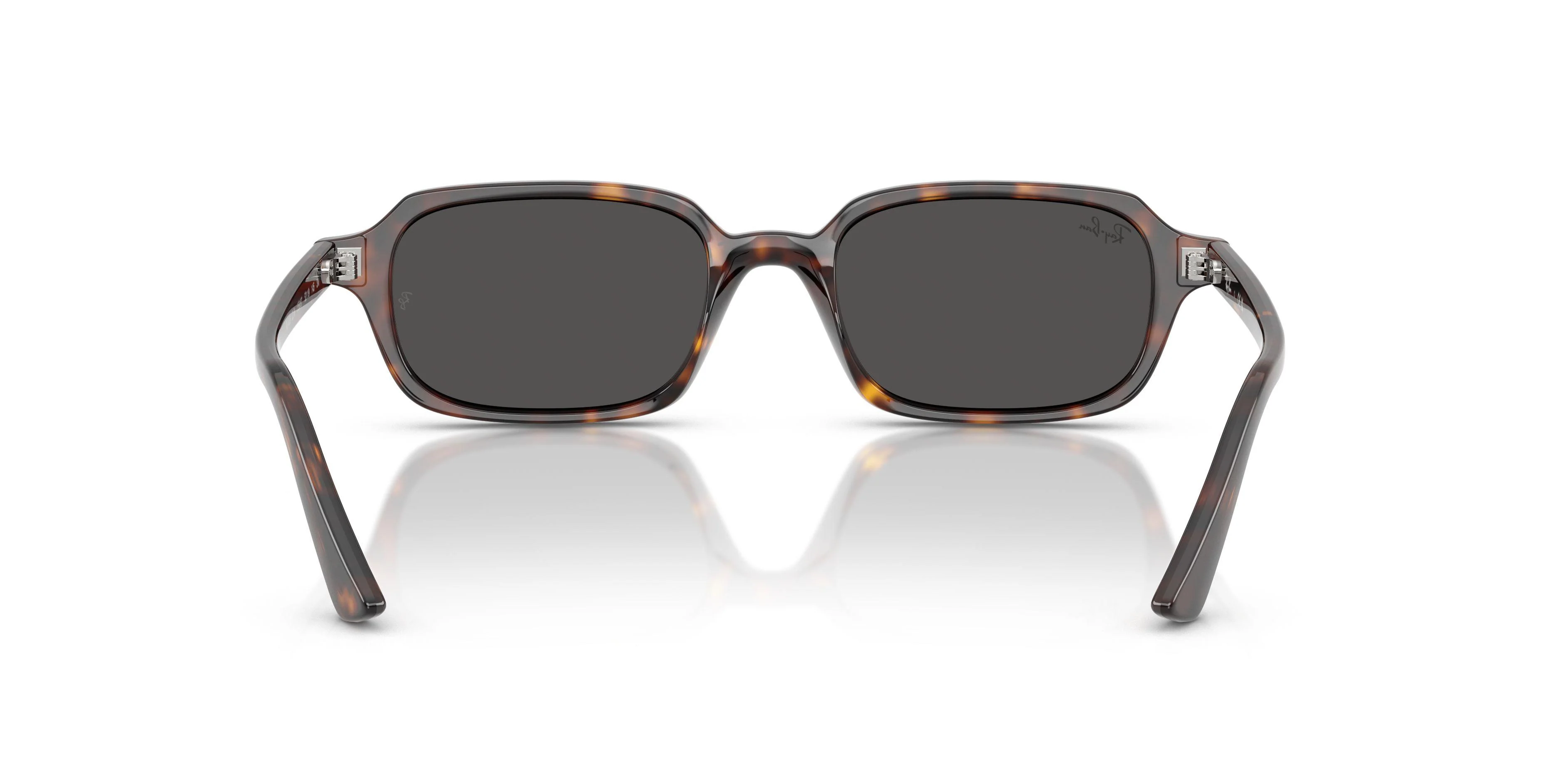 Ray-Ban Zuri 4455 Sunglasses - Image 8
