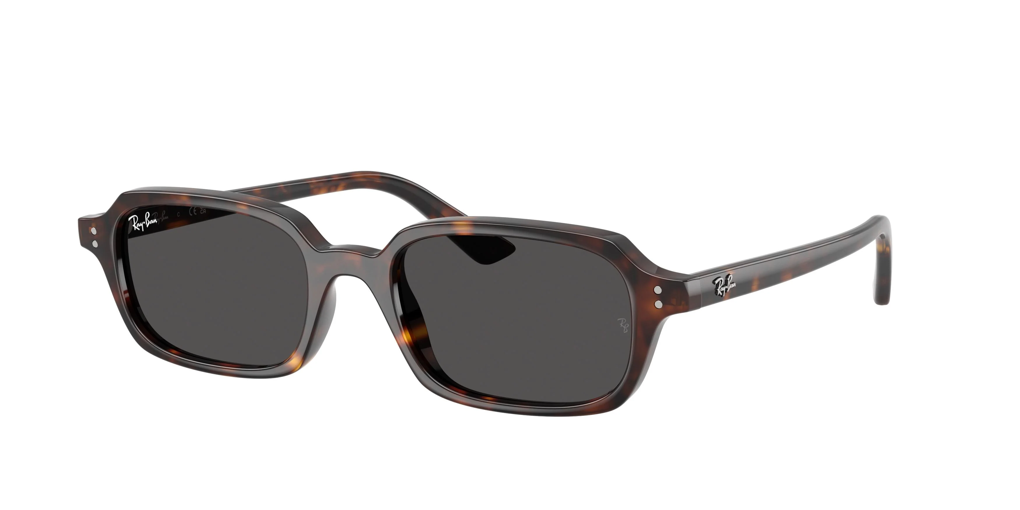 Ray-Ban Zuri 4455F Sunglasses