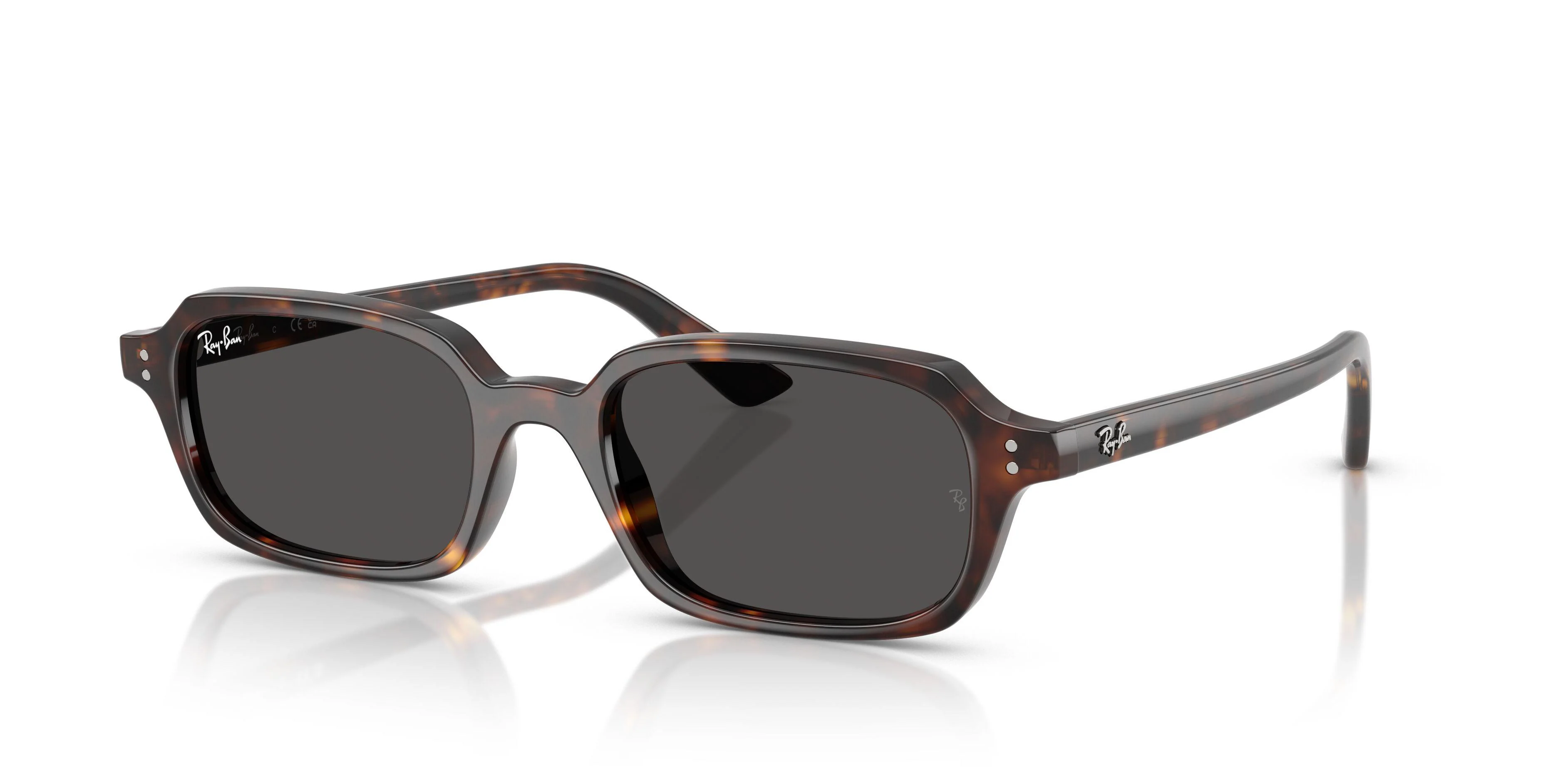 Ray-Ban Zuri 4455F Sunglasses - Image 6