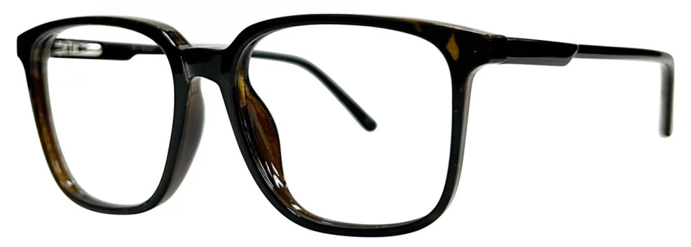 RYE 1923 COLLECTION R1Z604P Eyeglasses - Image 2