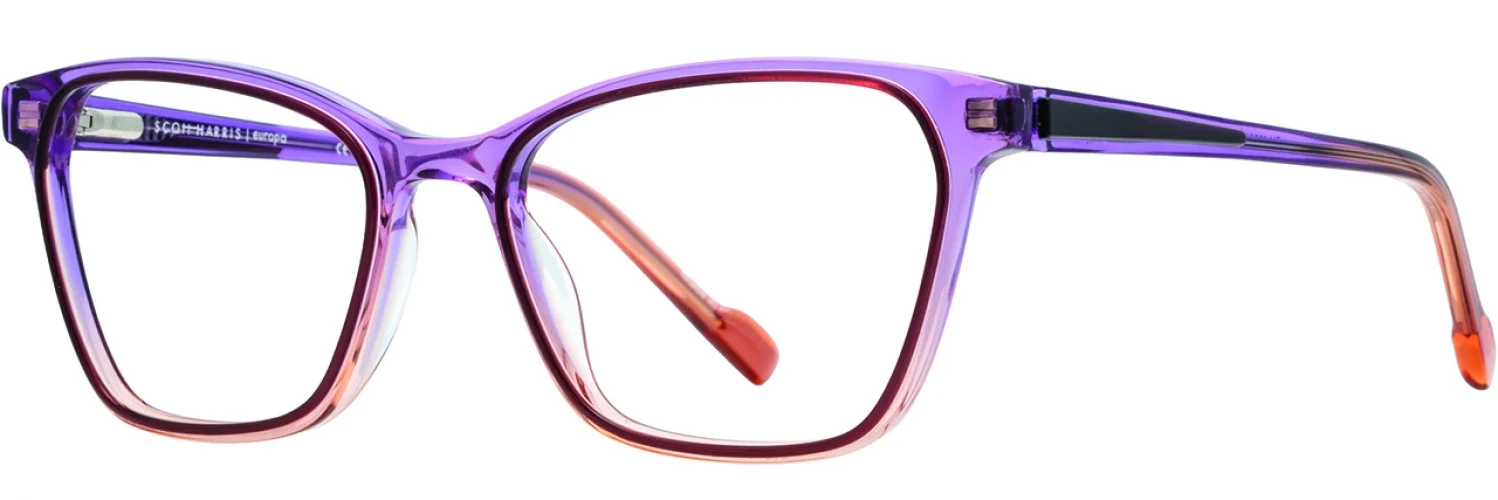 Scott Harris SH1004 Eyeglasses - Image 10