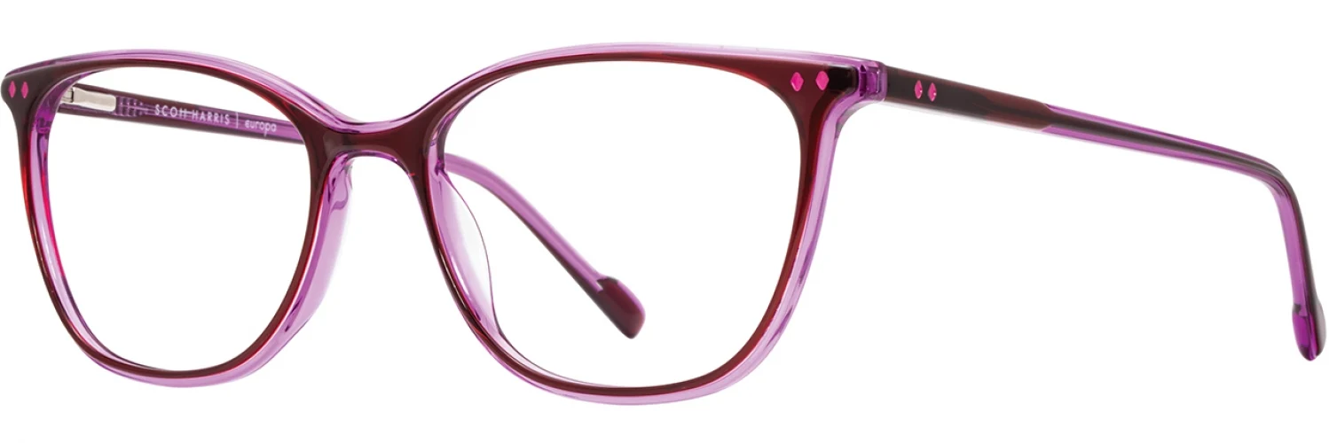 Scott Harris SH972 Eyeglasses - Image 6