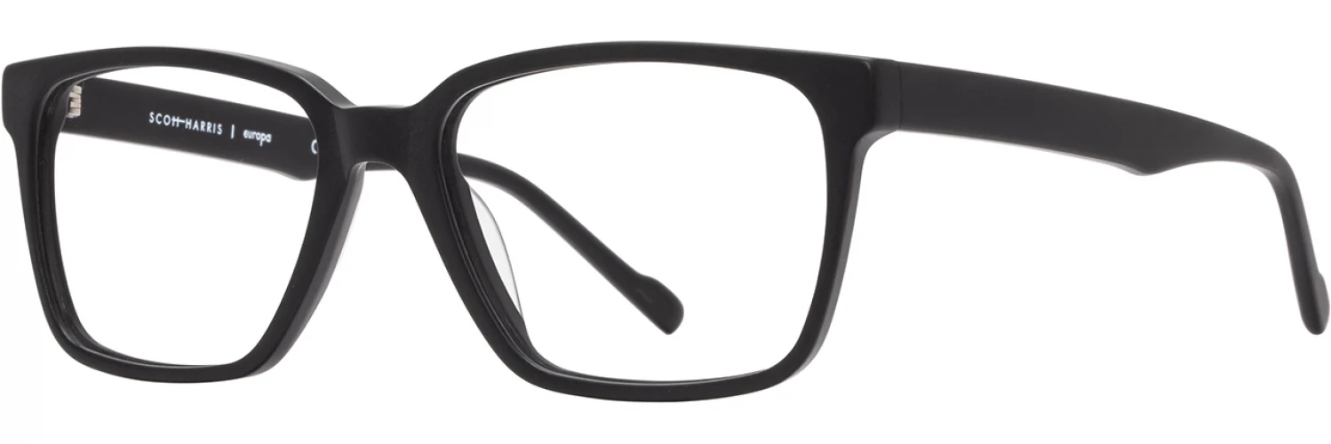 Scott Harris SH976 Eyeglasses - Image 6