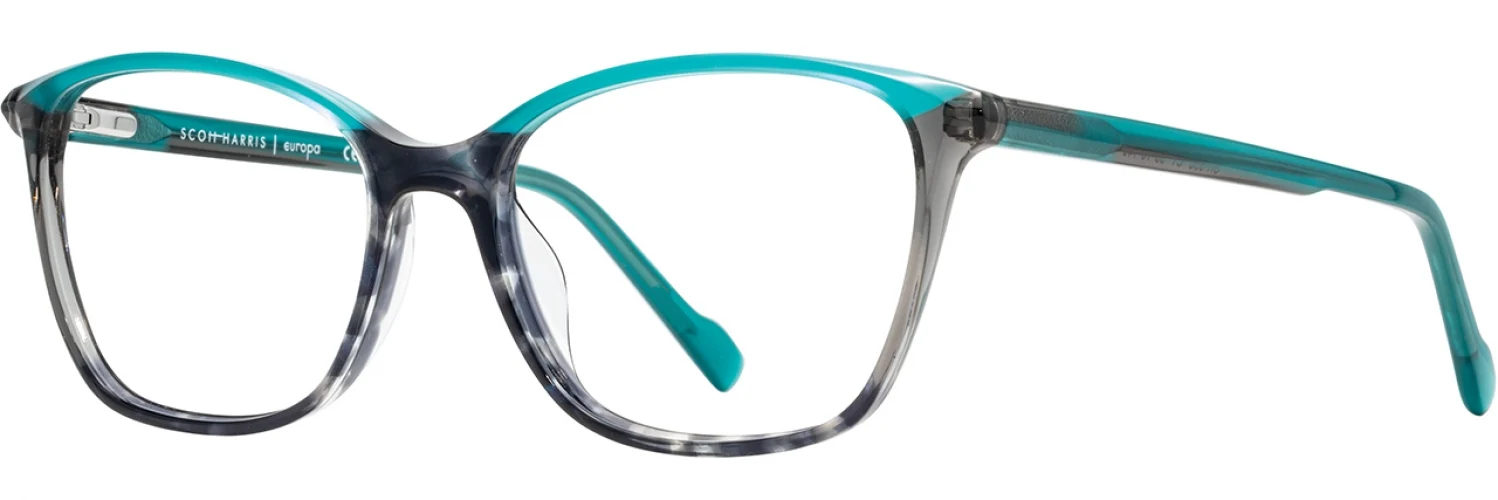Scott Harris SH996 Eyeglasses - Image 12