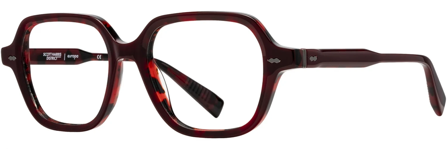 Scott Harris SHD007 Eyeglasses - Image 7