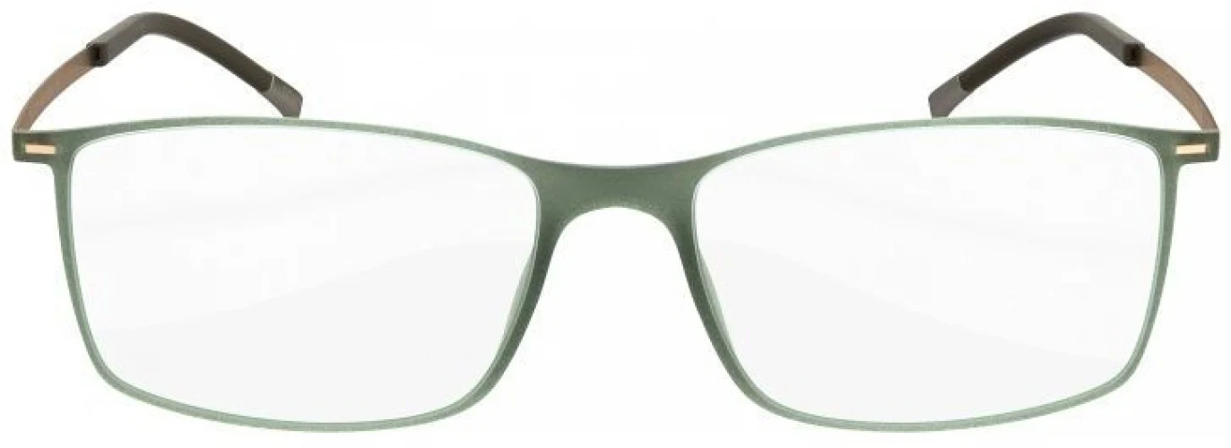 Silhouette Urban LITE Fullrim 2902 Eyeglasses - Image 10