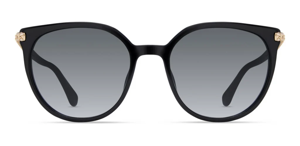 Stuart Weitzman WZN8022 Sunglasses - Image 4