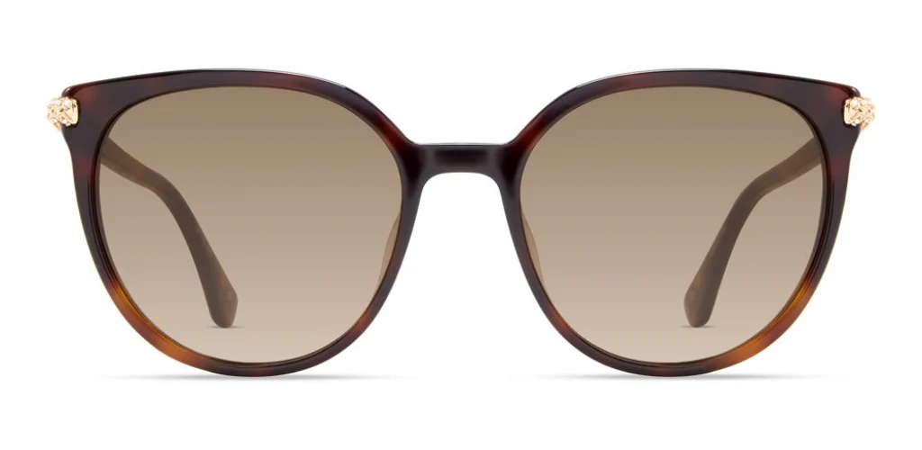 Stuart Weitzman WZN8022 Sunglasses - Image 6