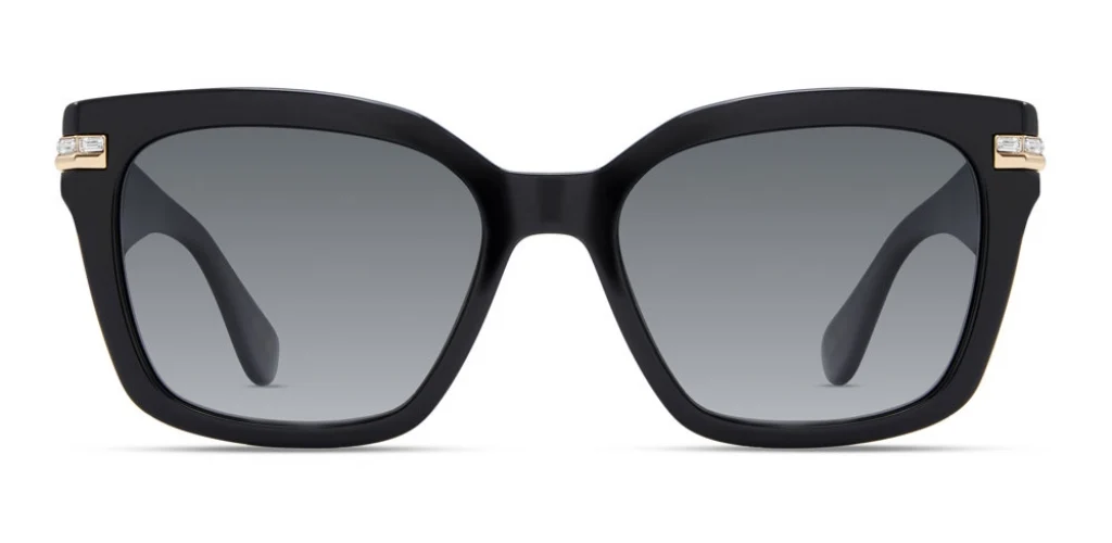 Stuart Weitzman WZN8025 Sunglasses - Image 4